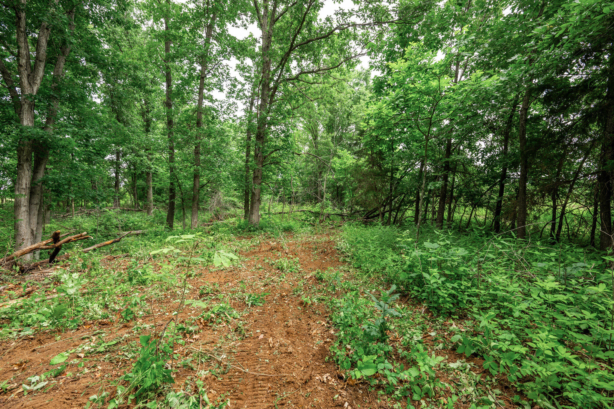 26 Halyon Estates Property Photo 7