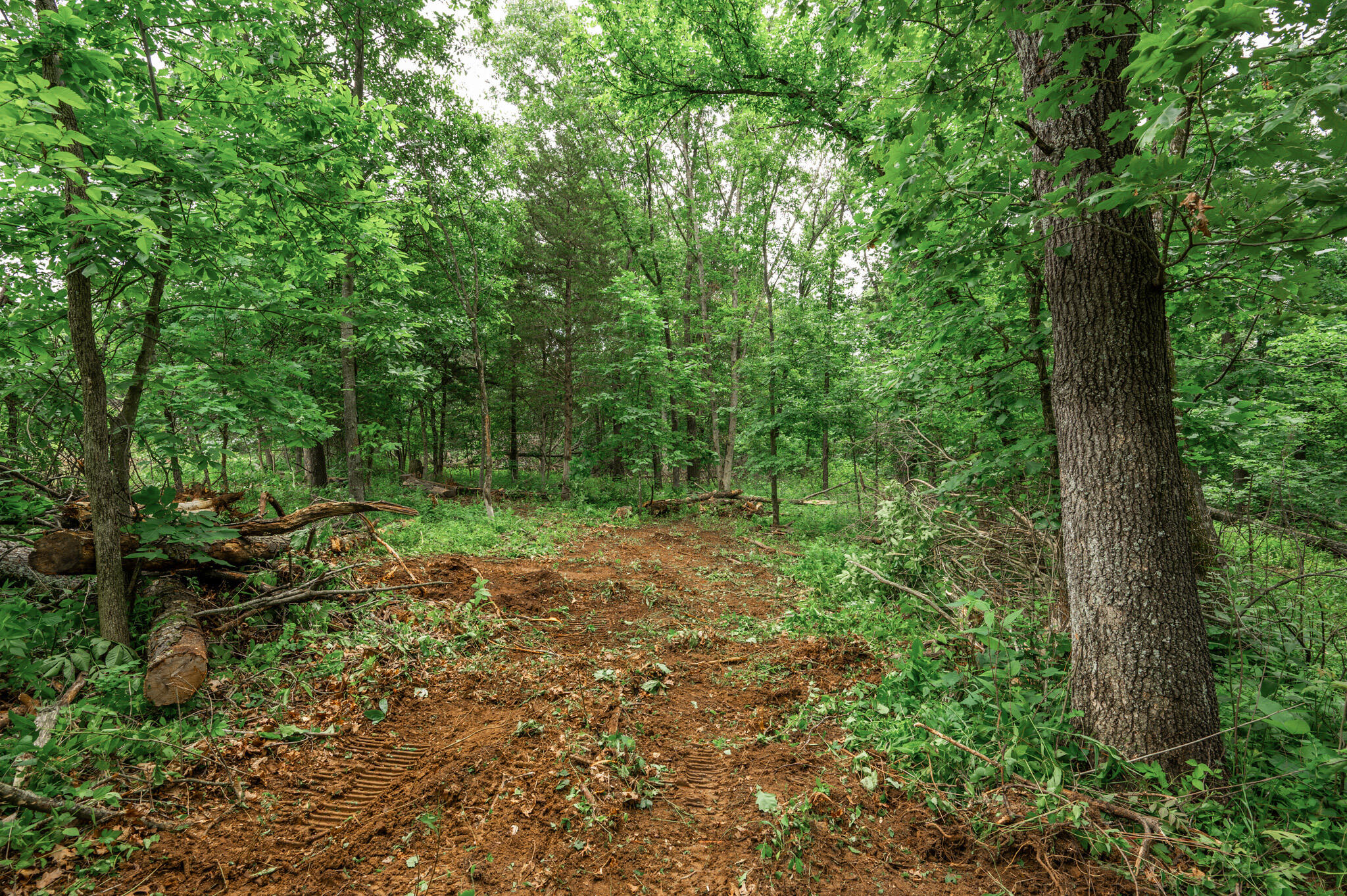26 Halyon Estates Property Photo 8