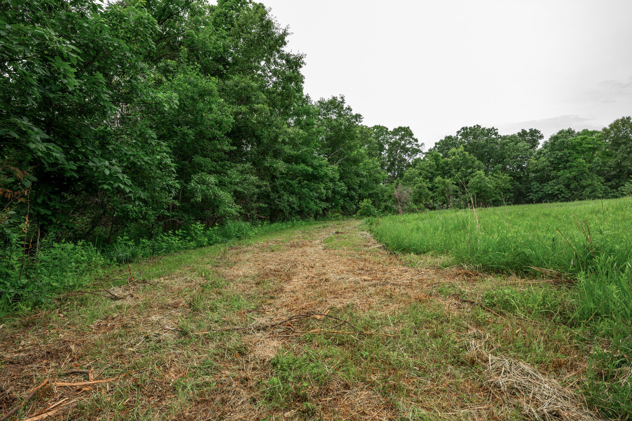 26 Halyon Estates Property Photo 10
