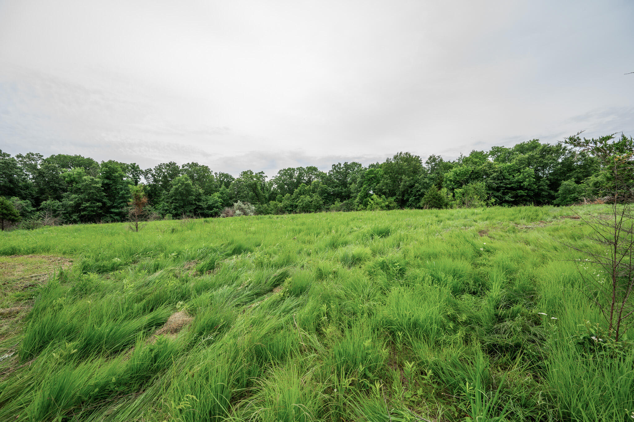 27 Halyon Estates Property Photo 5
