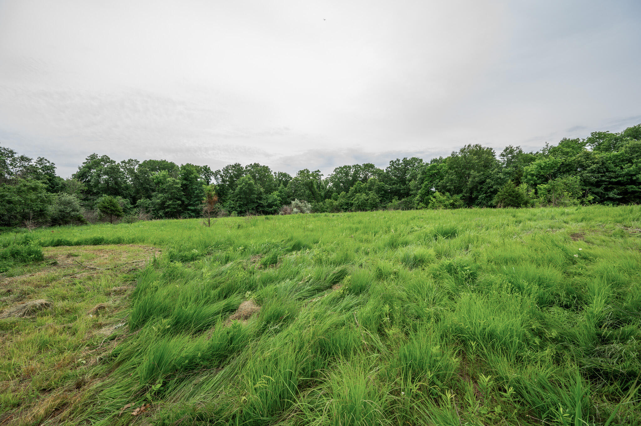 27 Halyon Estates Property Photo 6