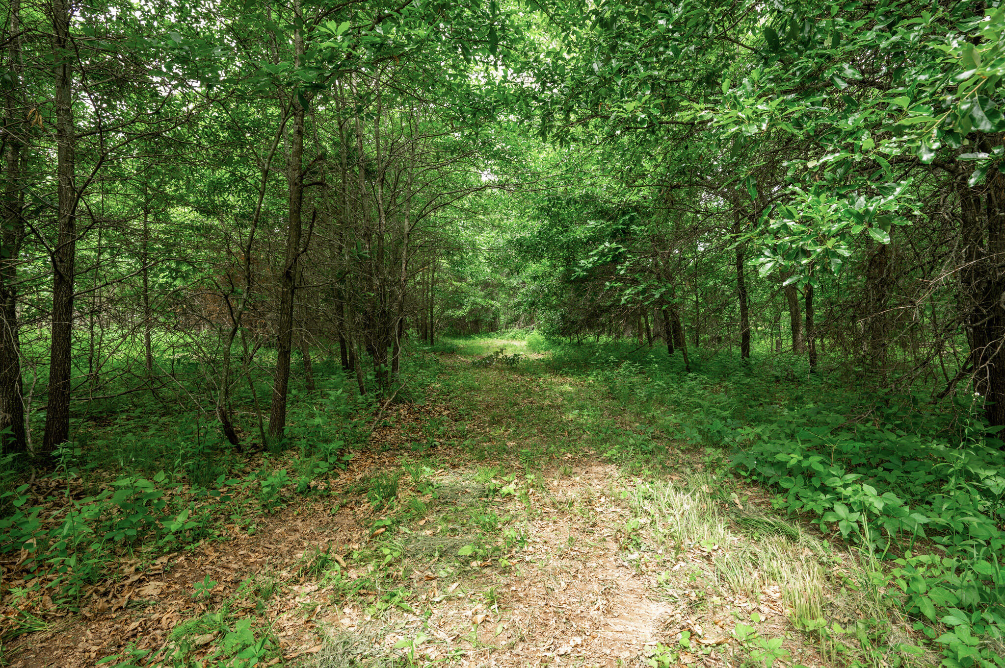 27 Halyon Estates Property Photo 8