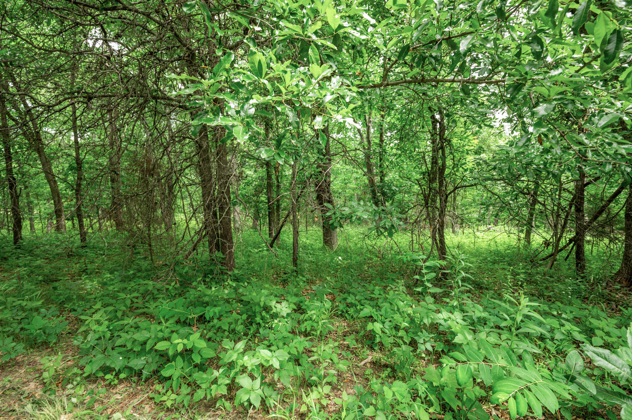 27 Halyon Estates Property Photo 9