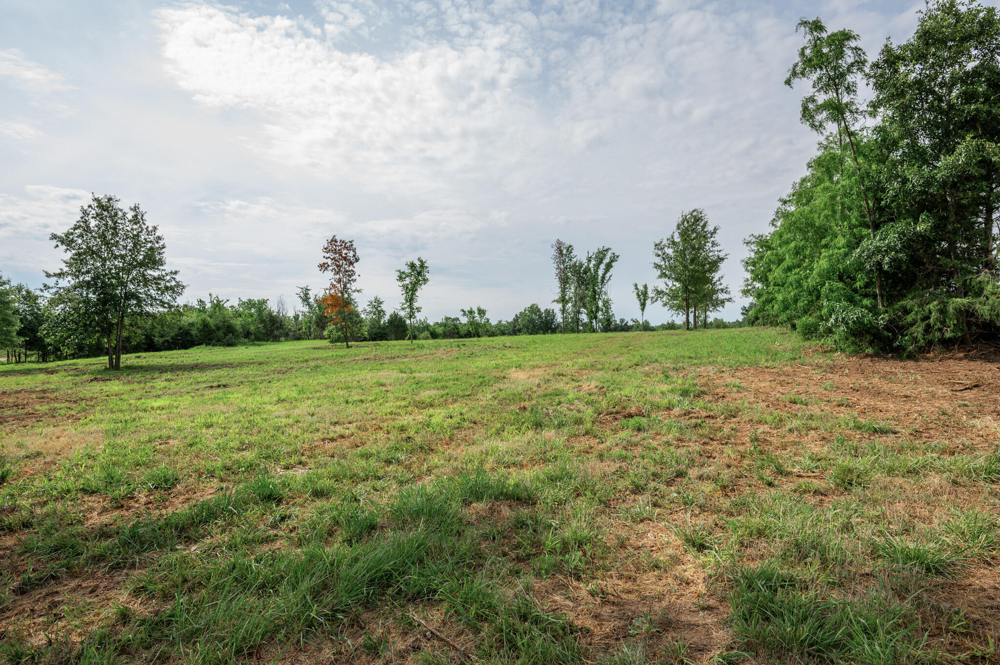 7 Halyon Estates Property Photo 5