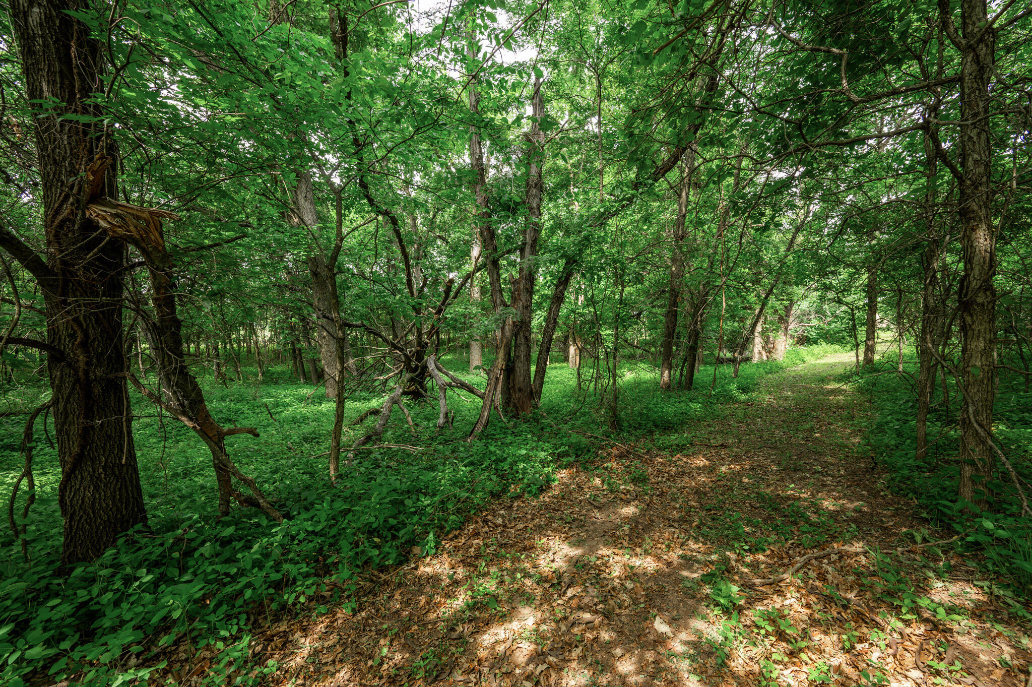 9 Halyon Estates Property Photo 5