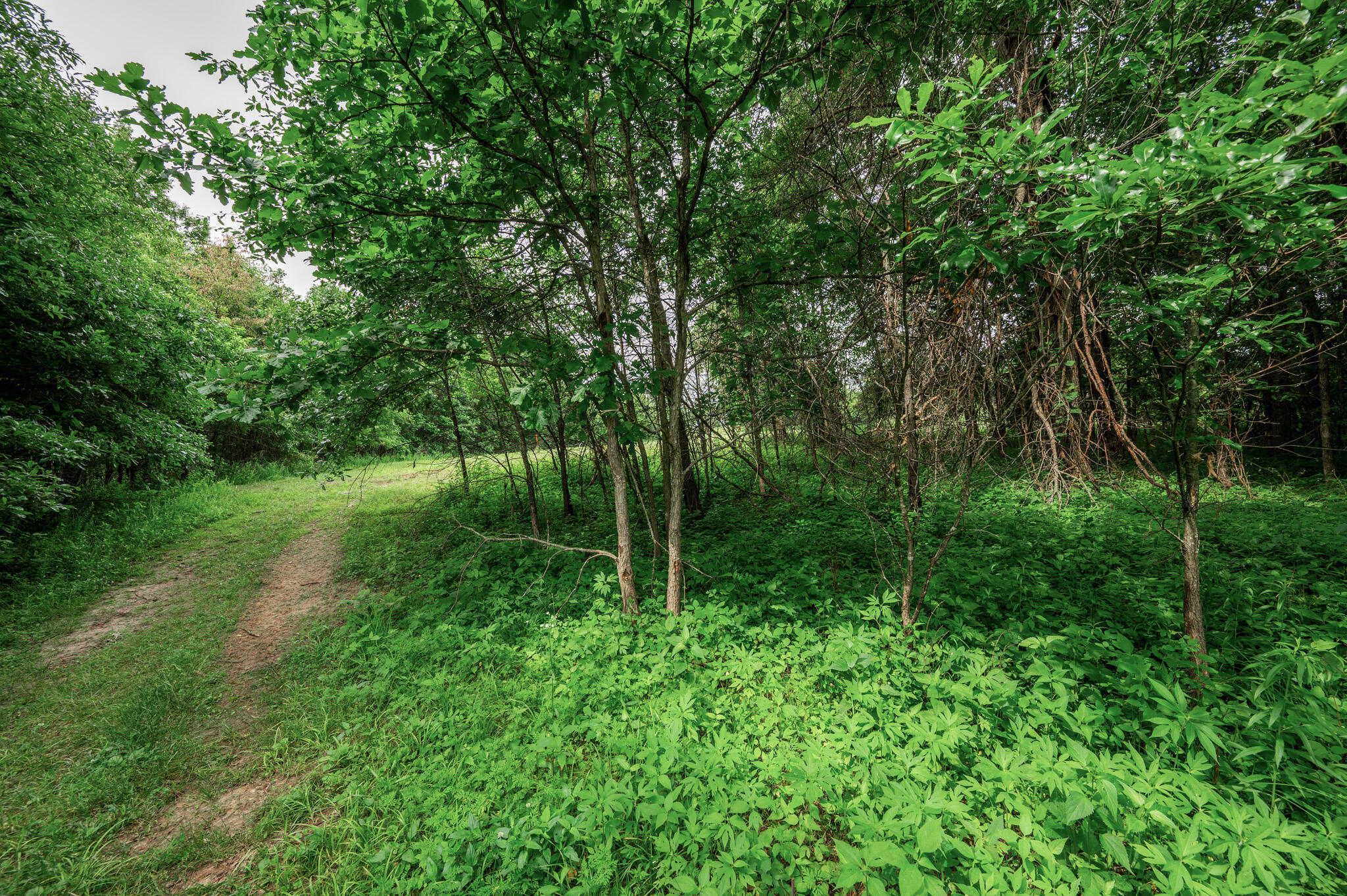 9 Halyon Estates Property Photo 6
