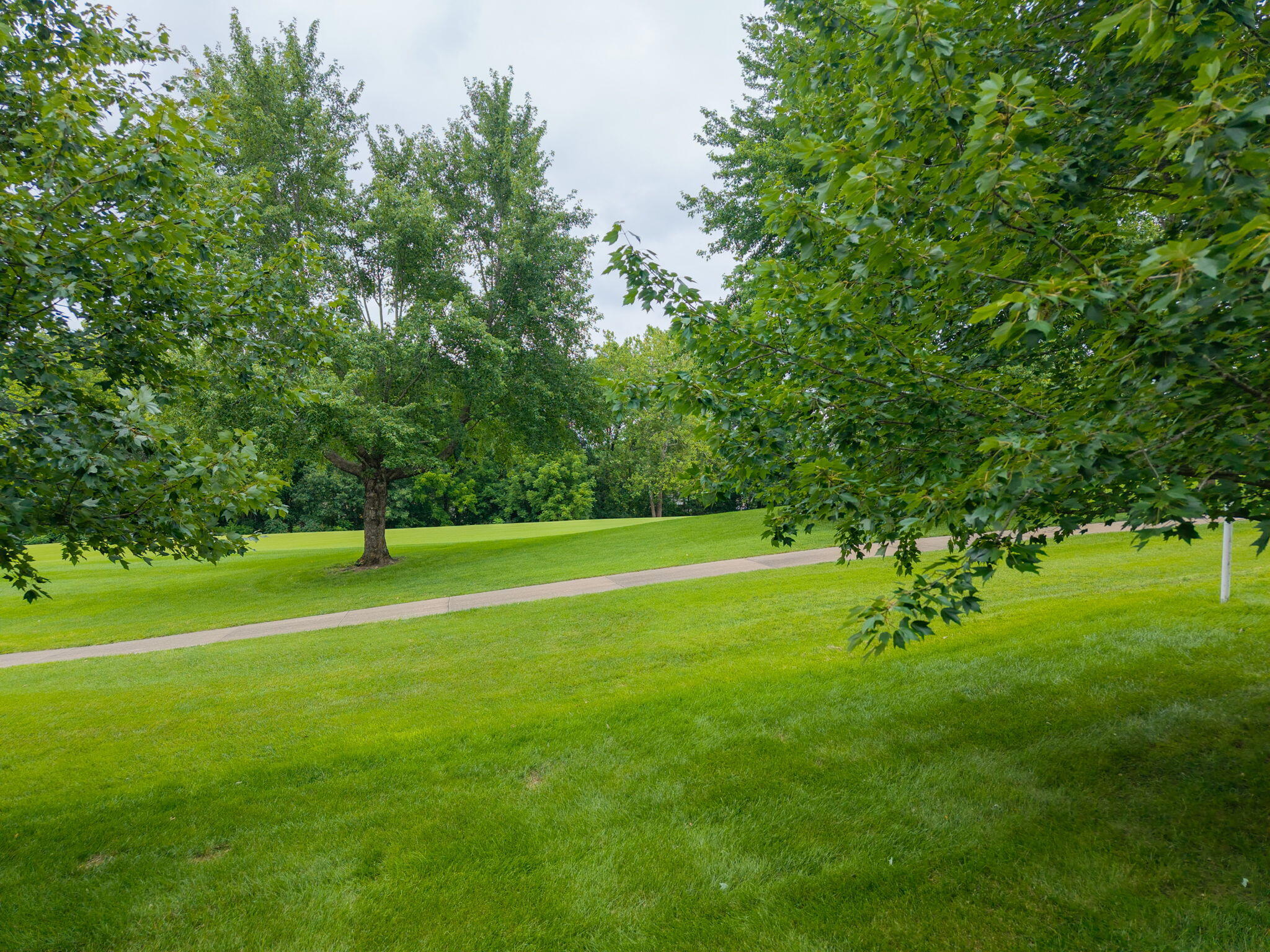 4410 Glen Eagle Dr Property Photo 58