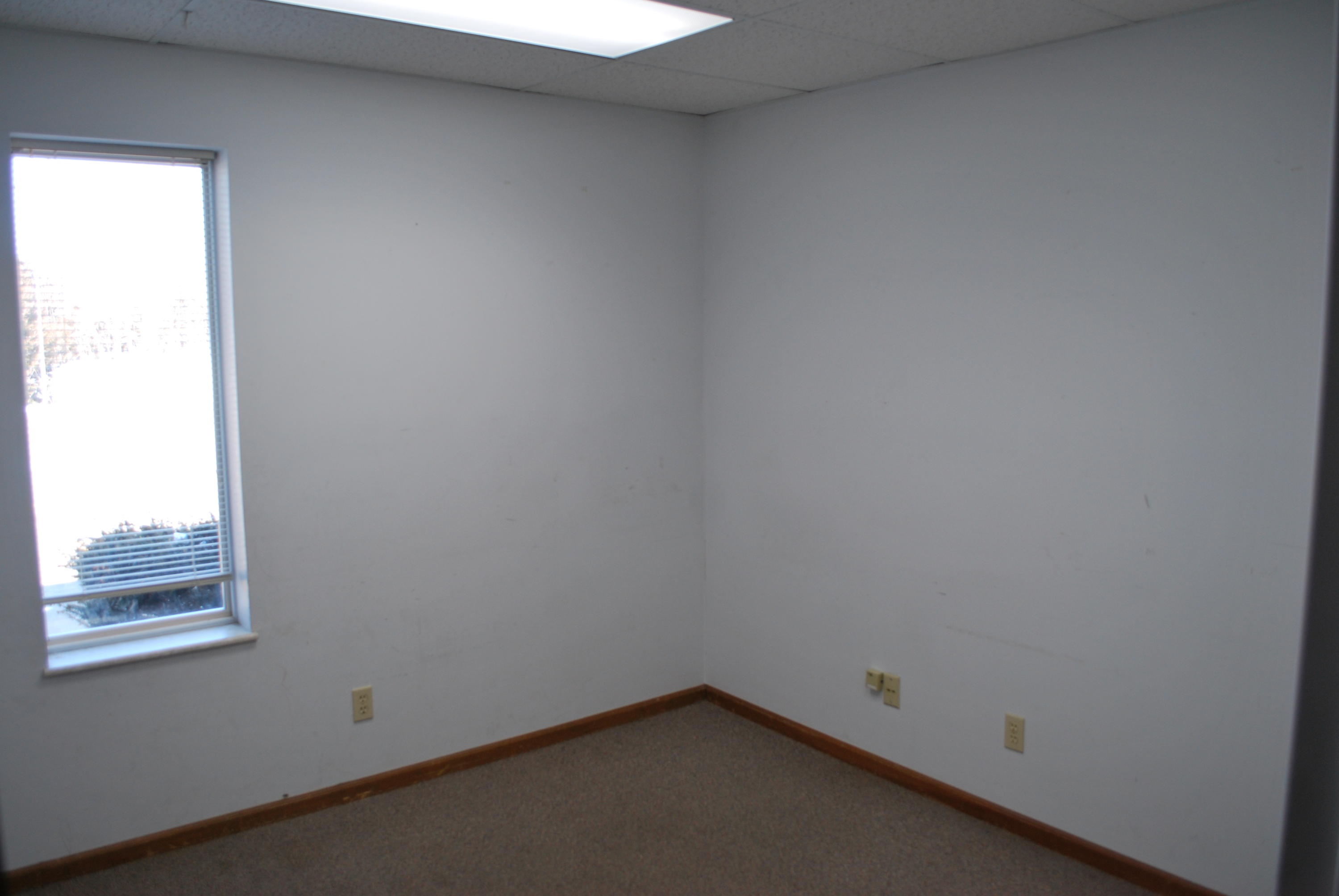 1715 S Morley St Property Photo 14
