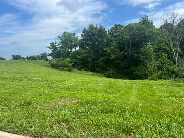 Lot 107 W Tenafly Dr Property Photo 1
