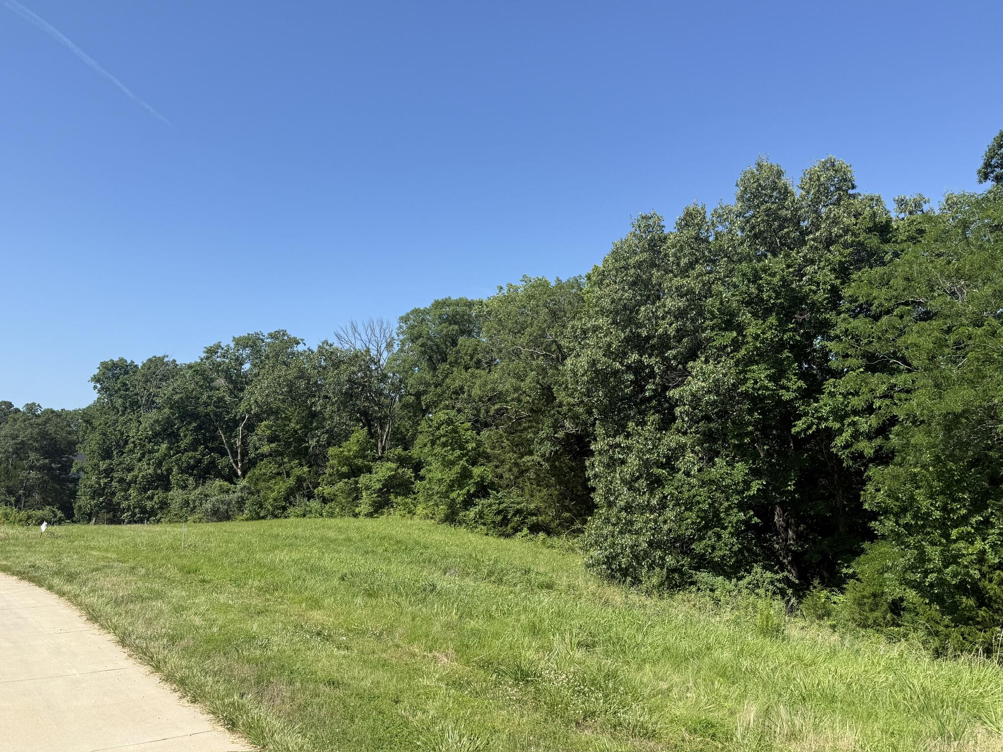 LOT 6 LAGOS DR Property Photo 1