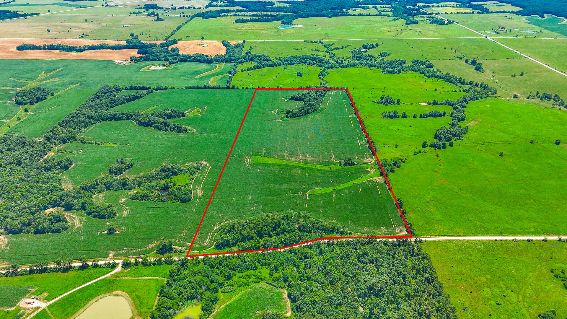 Tbd 76+/- Acres County Road 2450 Property Photo 1