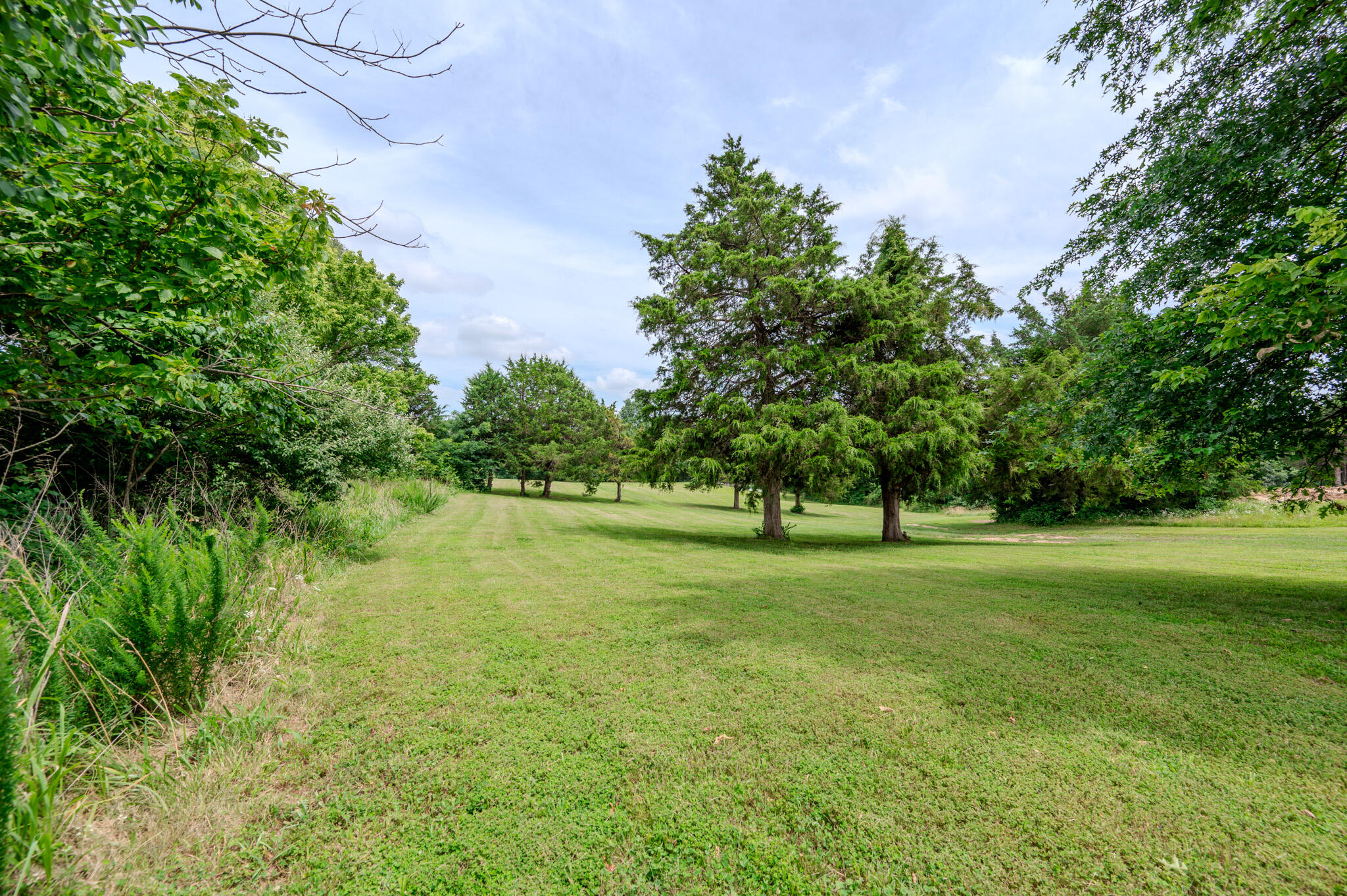 3 Willow Woods Property Photo 4