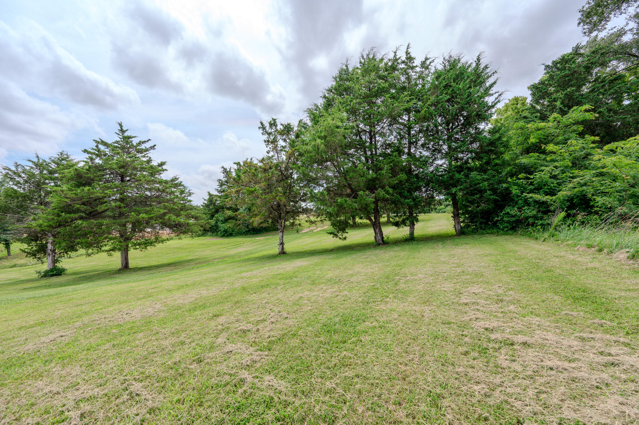 3 Willow Woods Property Photo 6