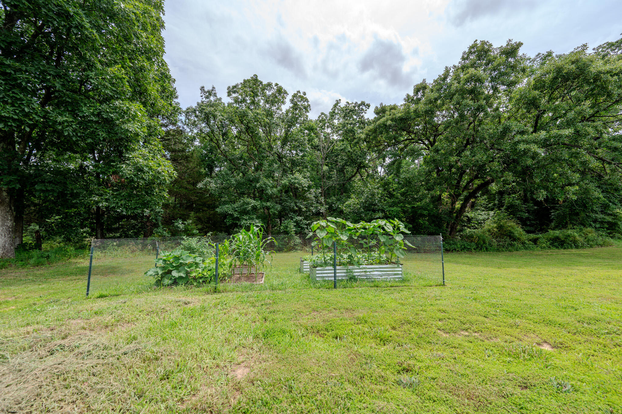 3 Willow Woods Property Photo 7