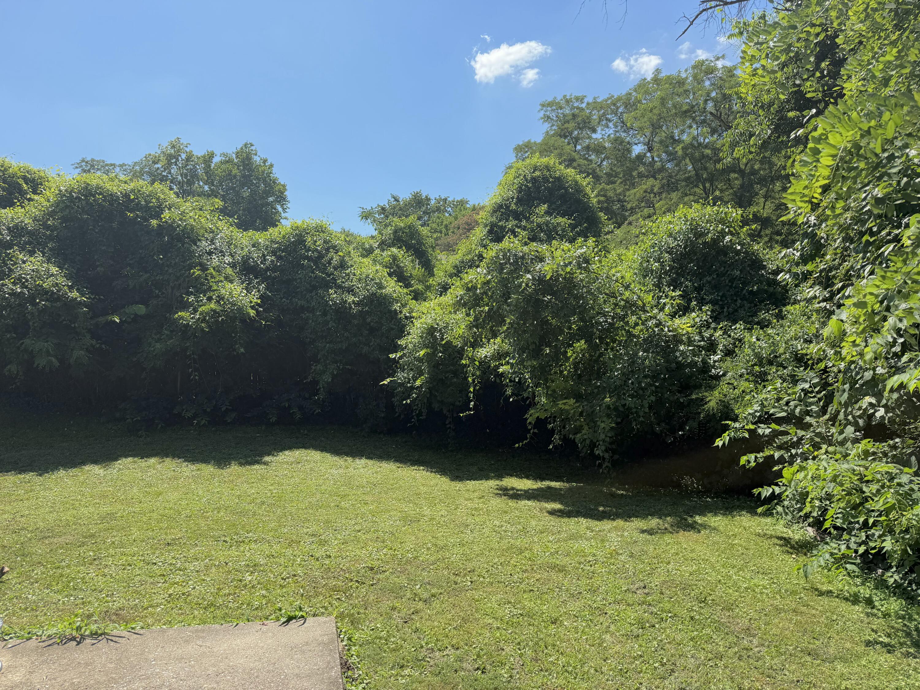 1025 Taylor St Property Photo 18