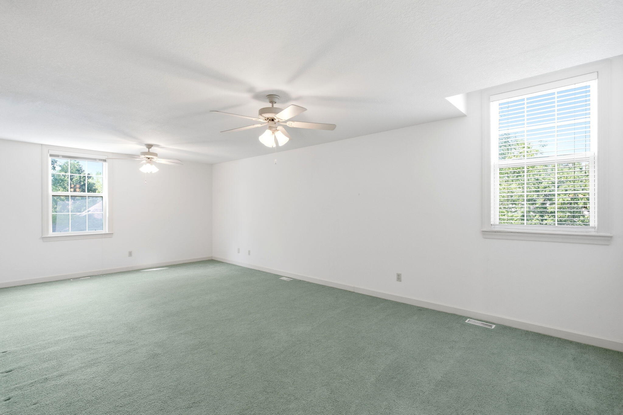 206 Blue Sky Ct Property Photo 17