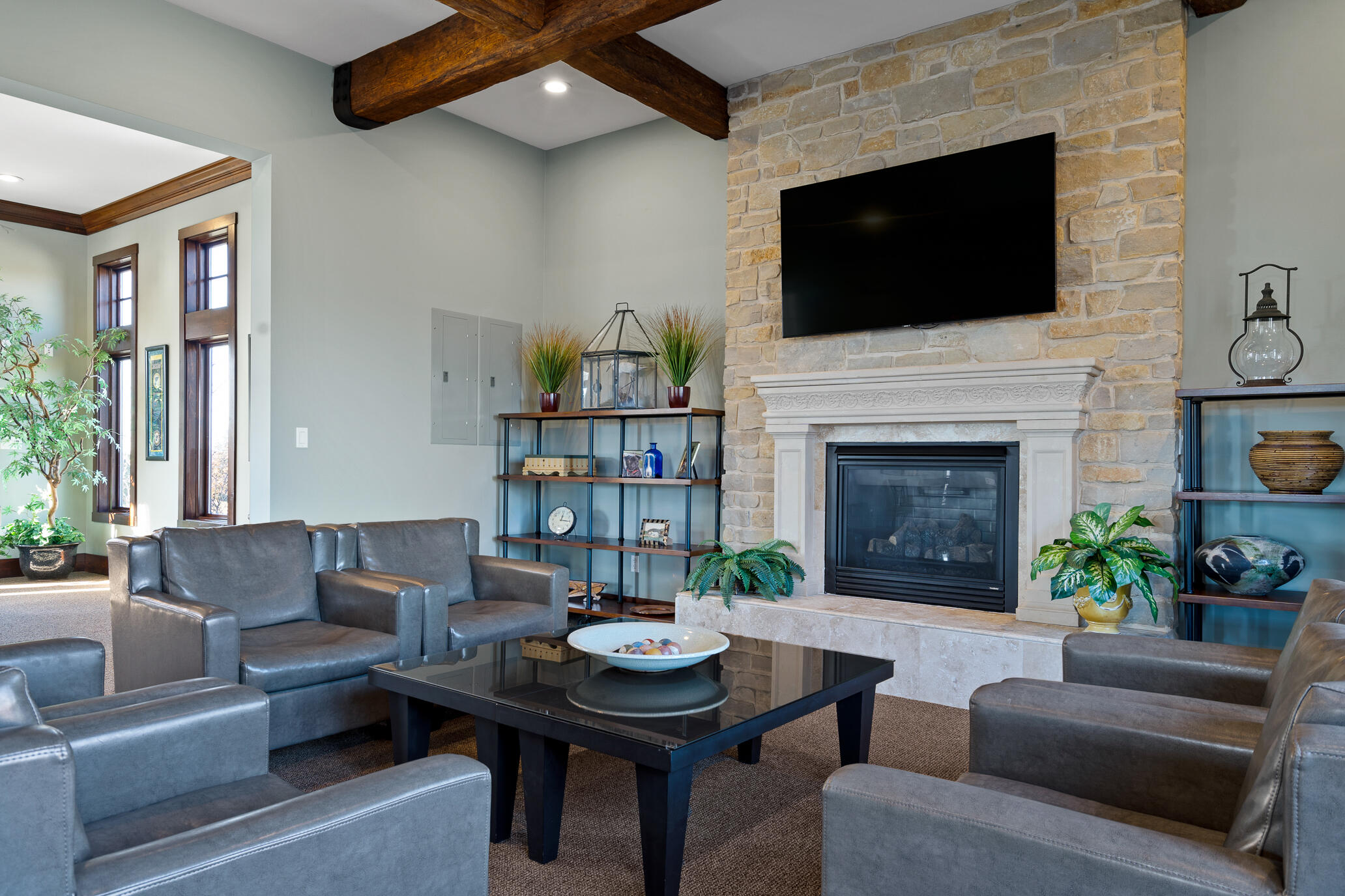 6306 Murano Way Property Photo 49