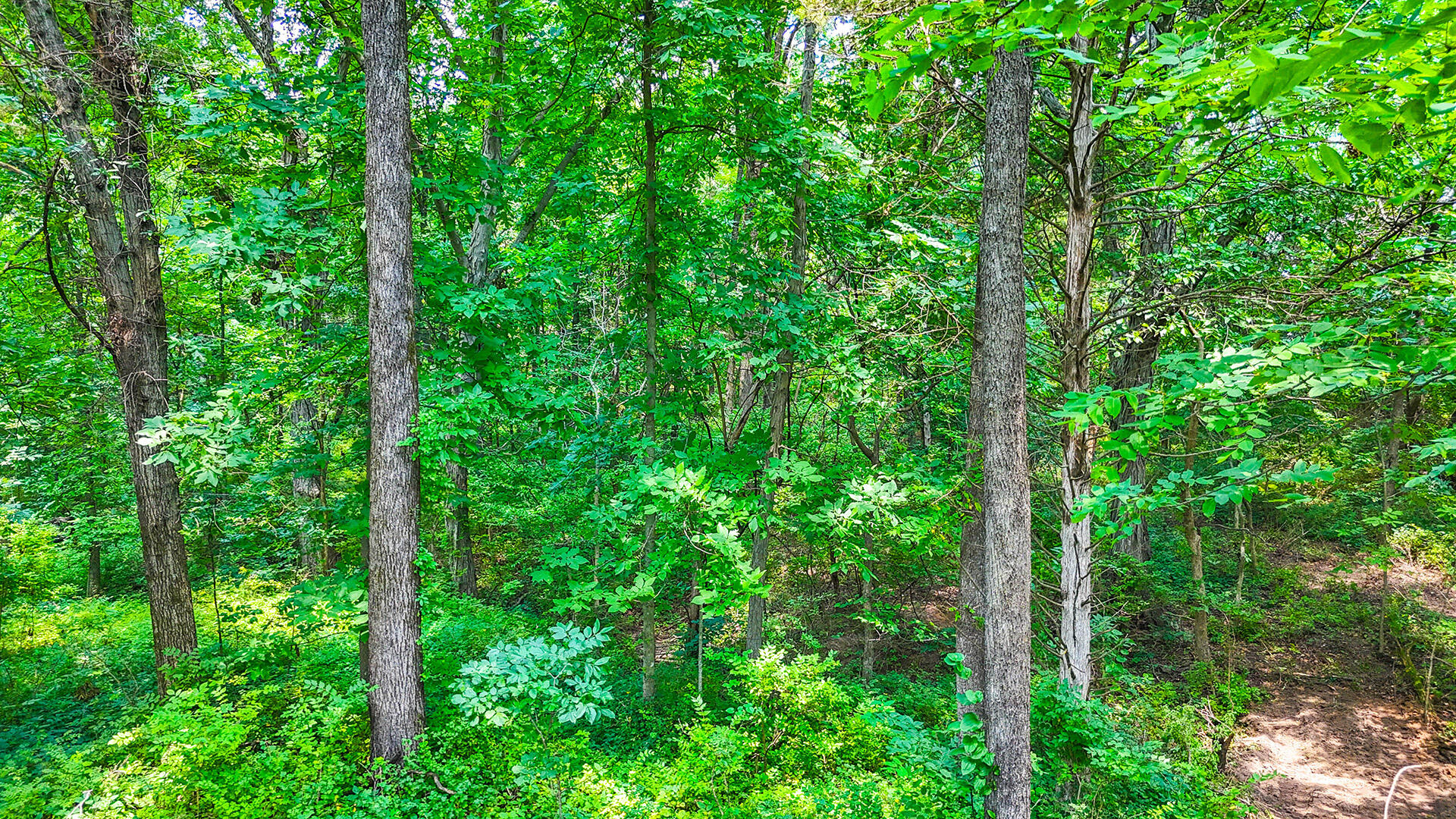County Road 252 Property Photo 11