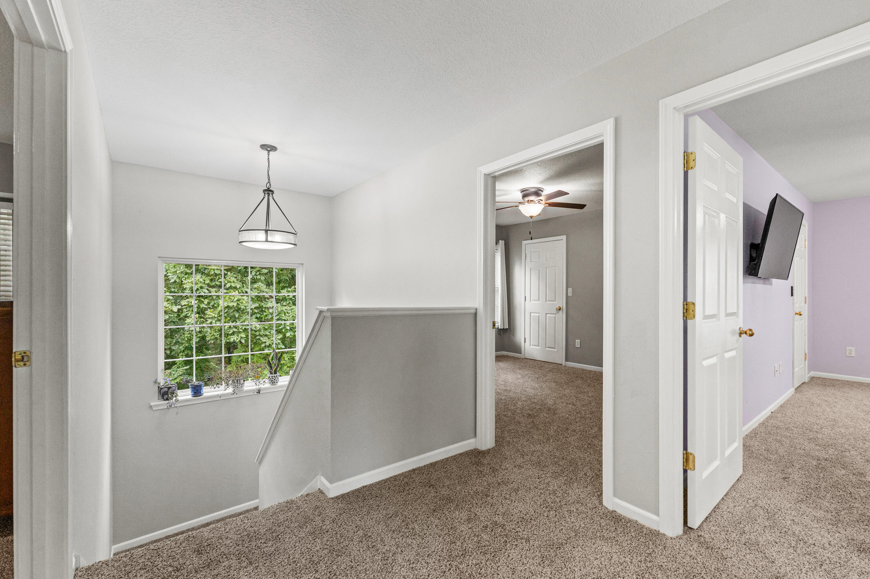 2911 Shingo Ct Property Photo 21