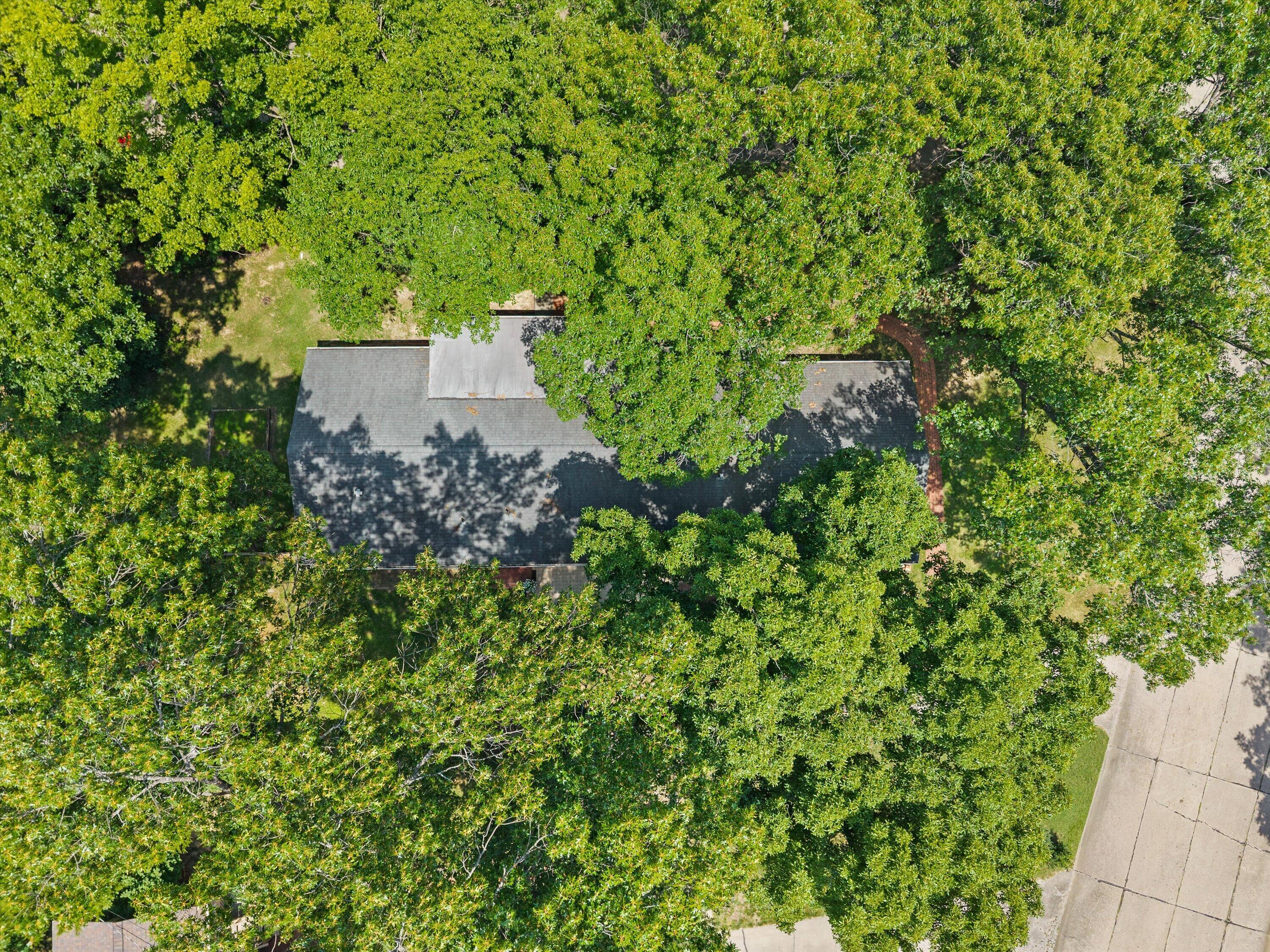 1019 Harvard Property Photo 38