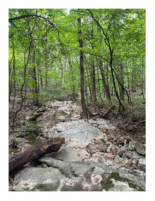 TBD S HAGANS RD Property Photo 1