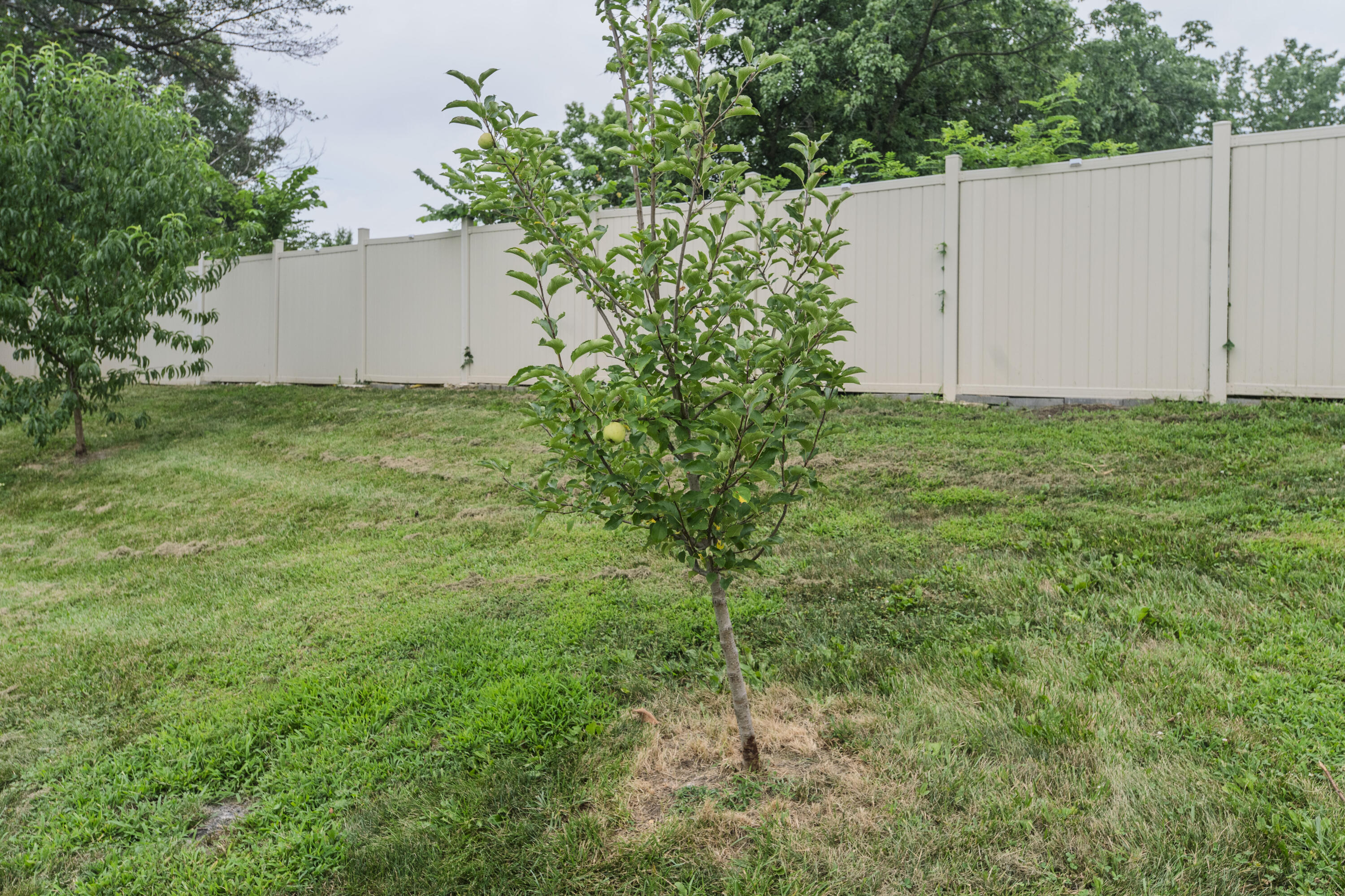 2102 Speck Ct Property Photo 80