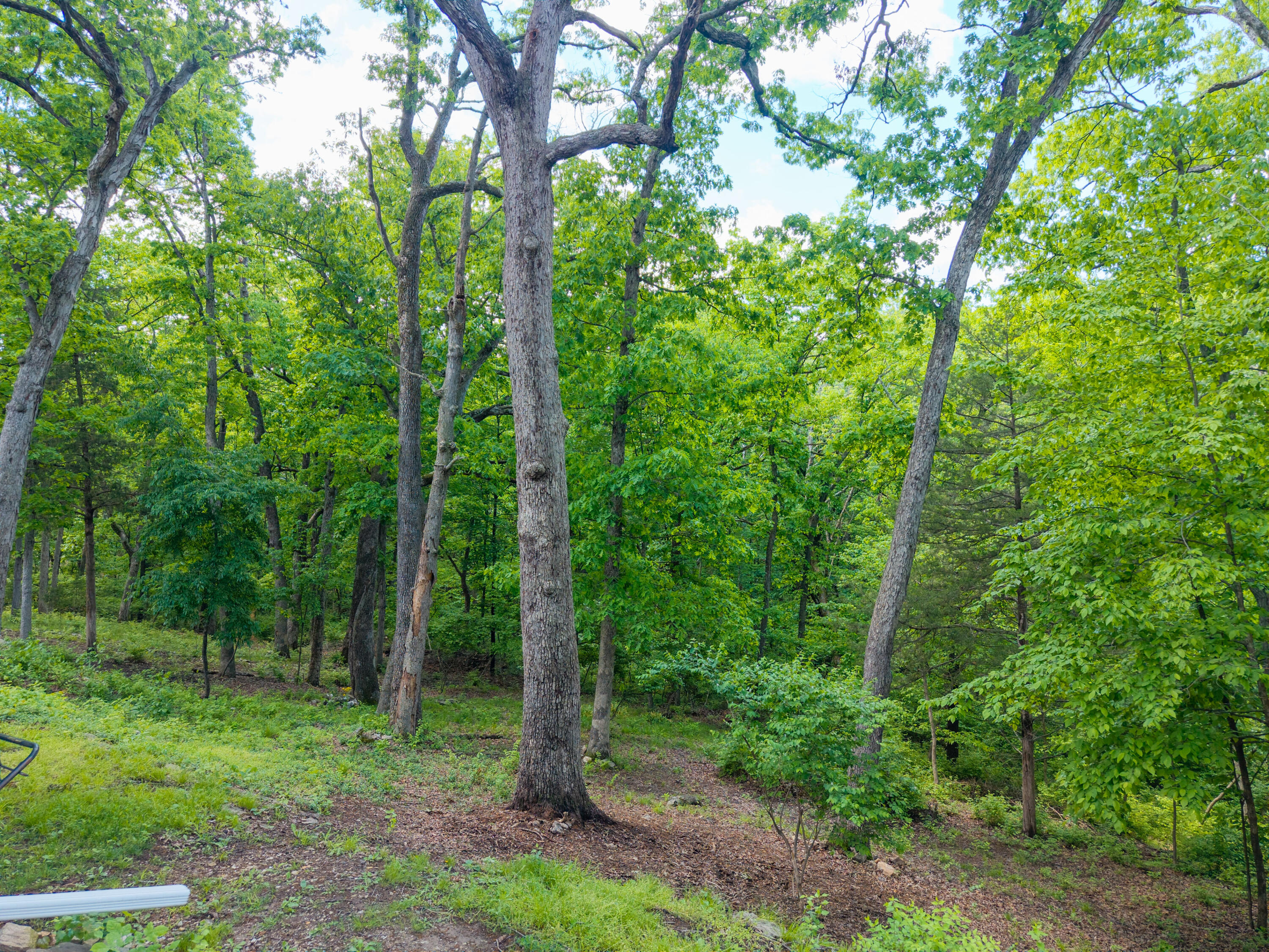 1403 Ridgemont Ct Property Photo 53
