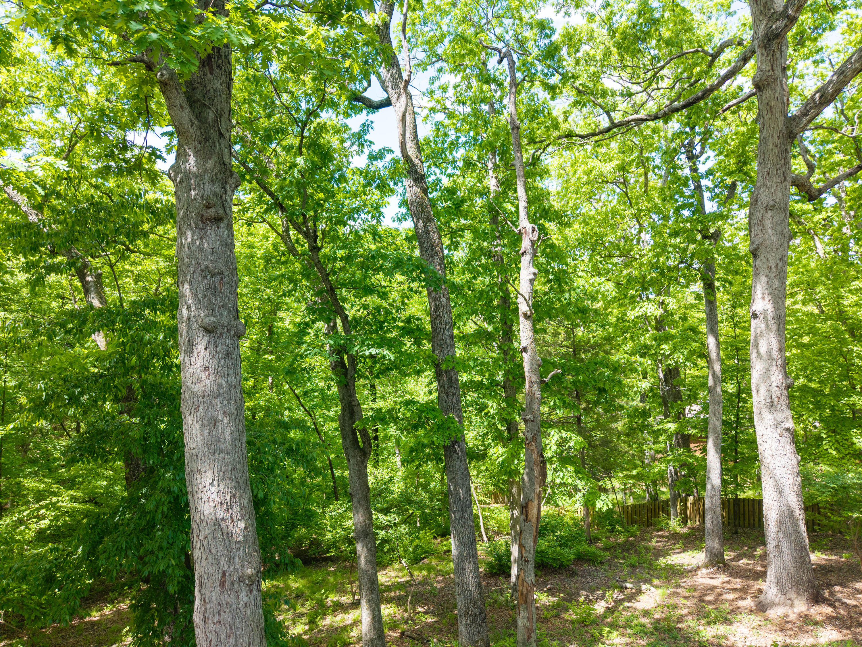 1403 Ridgemont Ct Property Photo 54