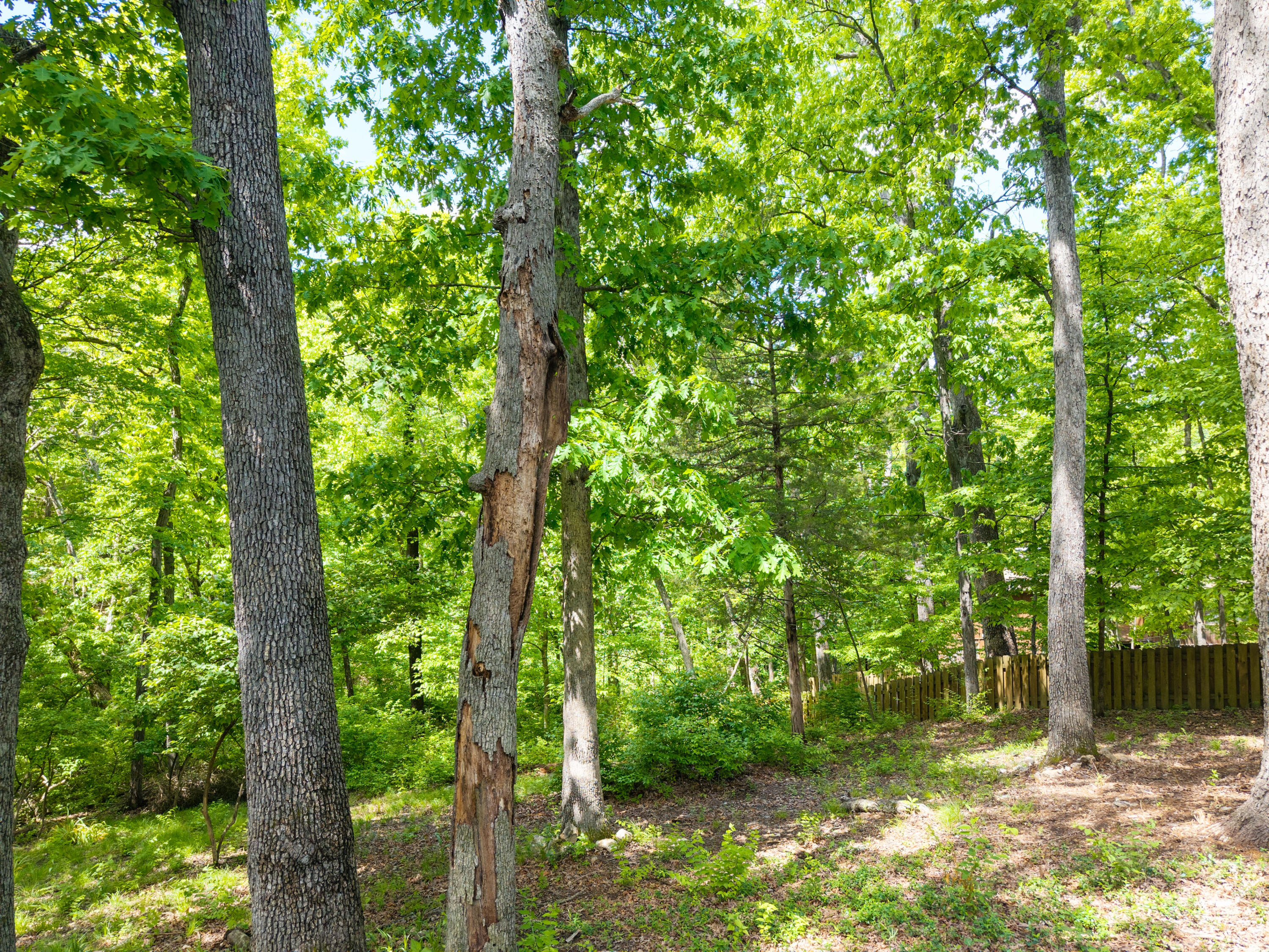 1403 Ridgemont Ct Property Photo 55