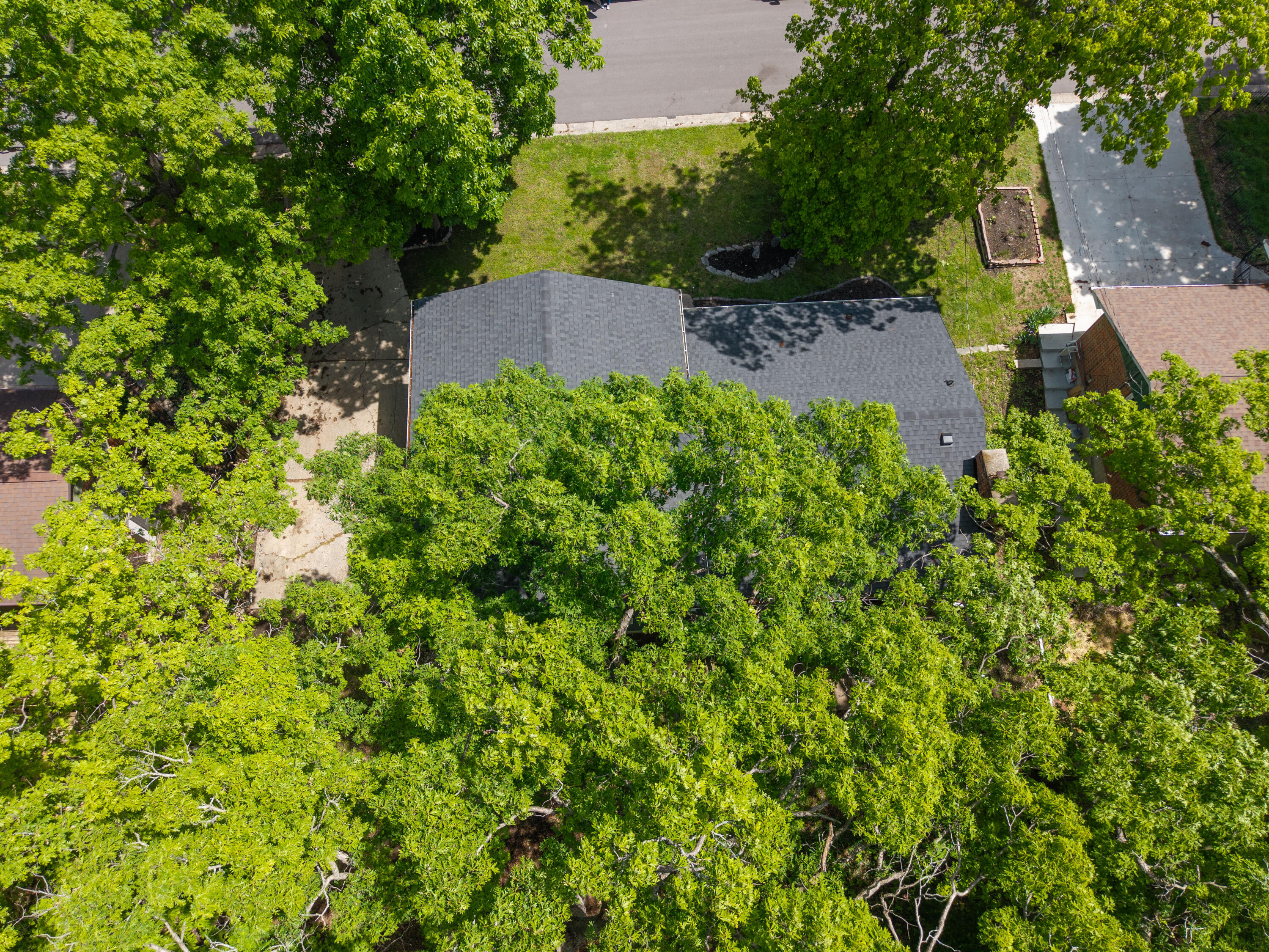 1403 Ridgemont Ct Property Photo 58