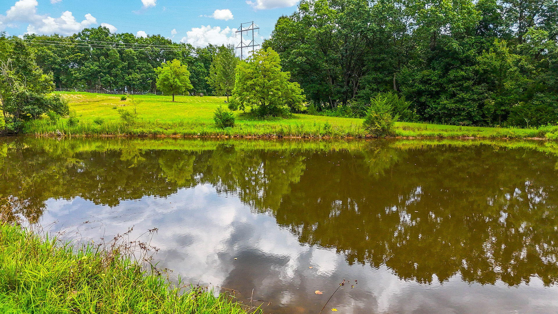 15402 State Highway B Property Photo 38