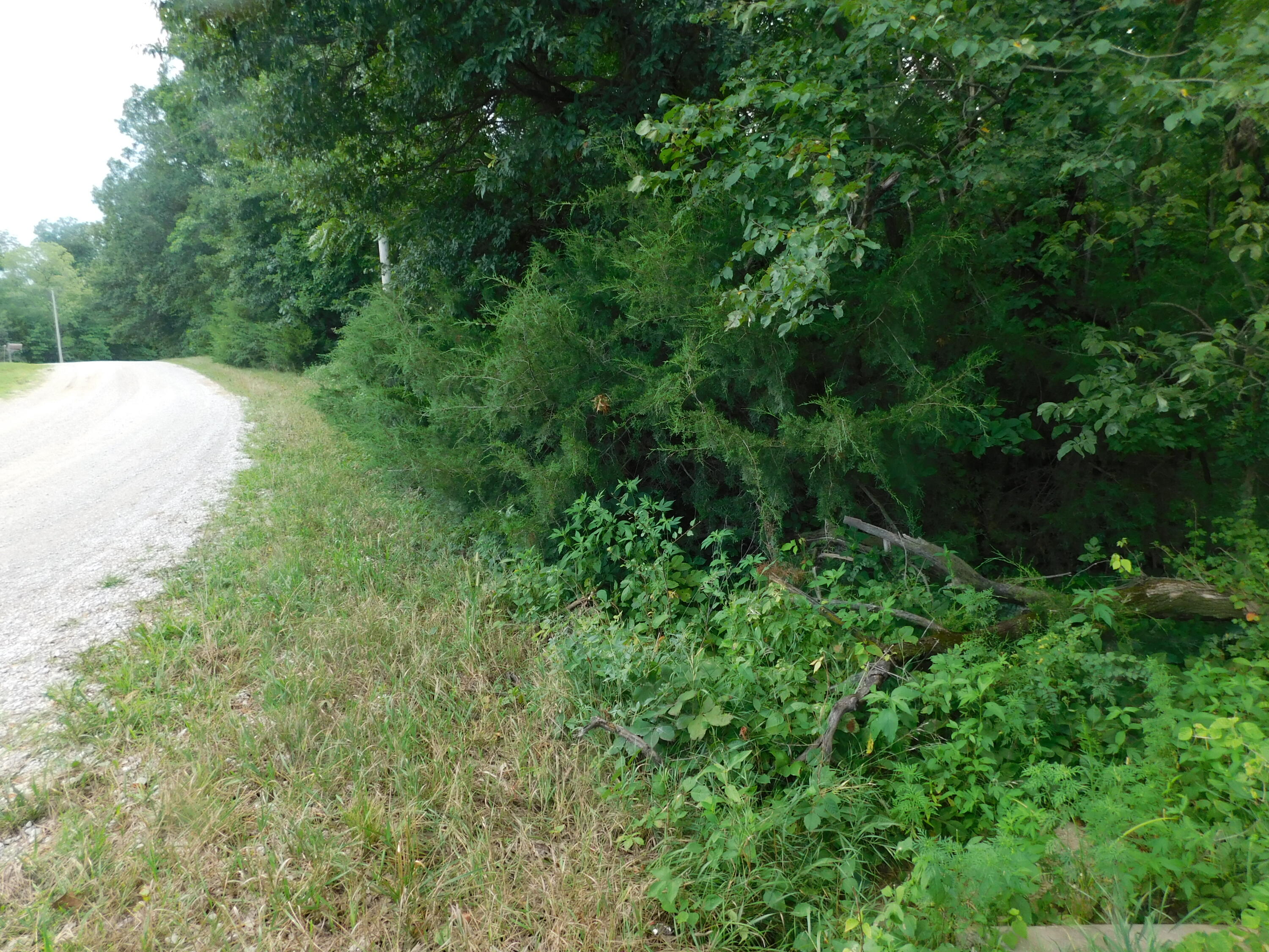 3100 County Road 2370 Property Photo 1