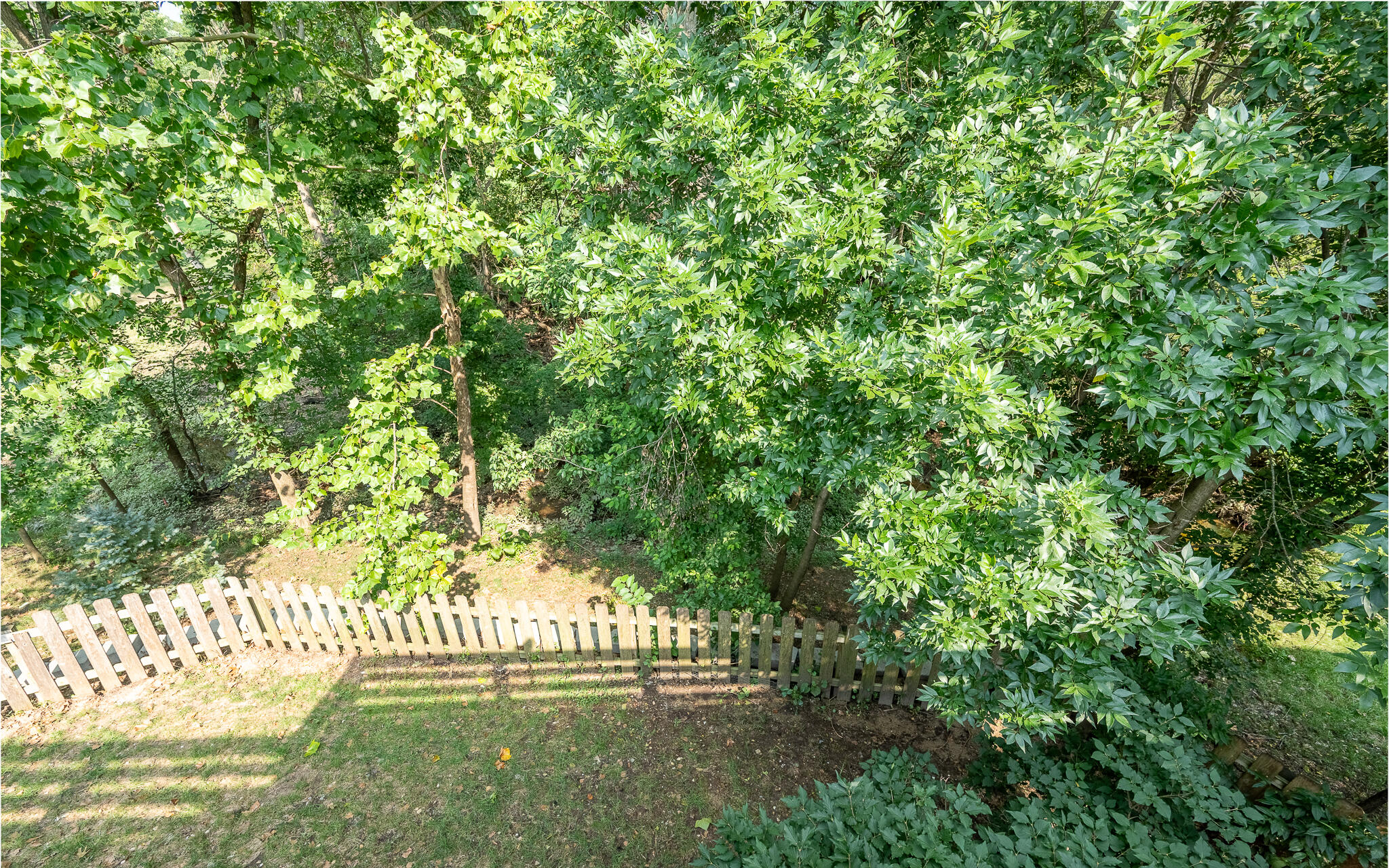 3806 Creekfront Way Property Photo 39