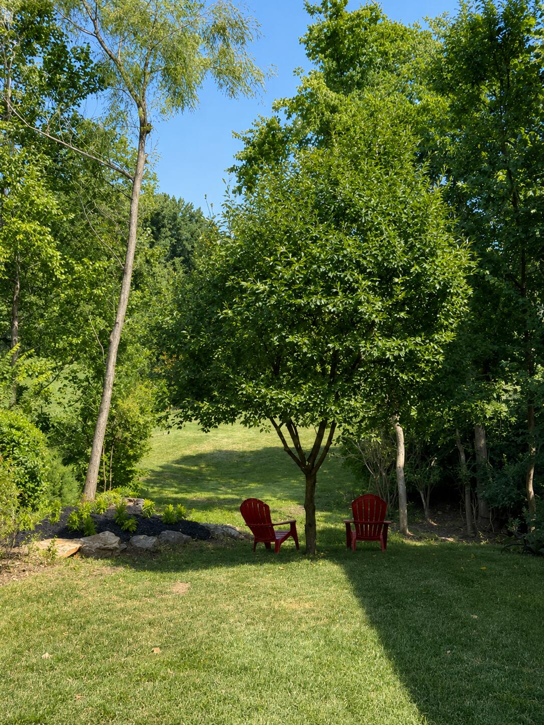 3806 Creekfront Way Property Photo 43