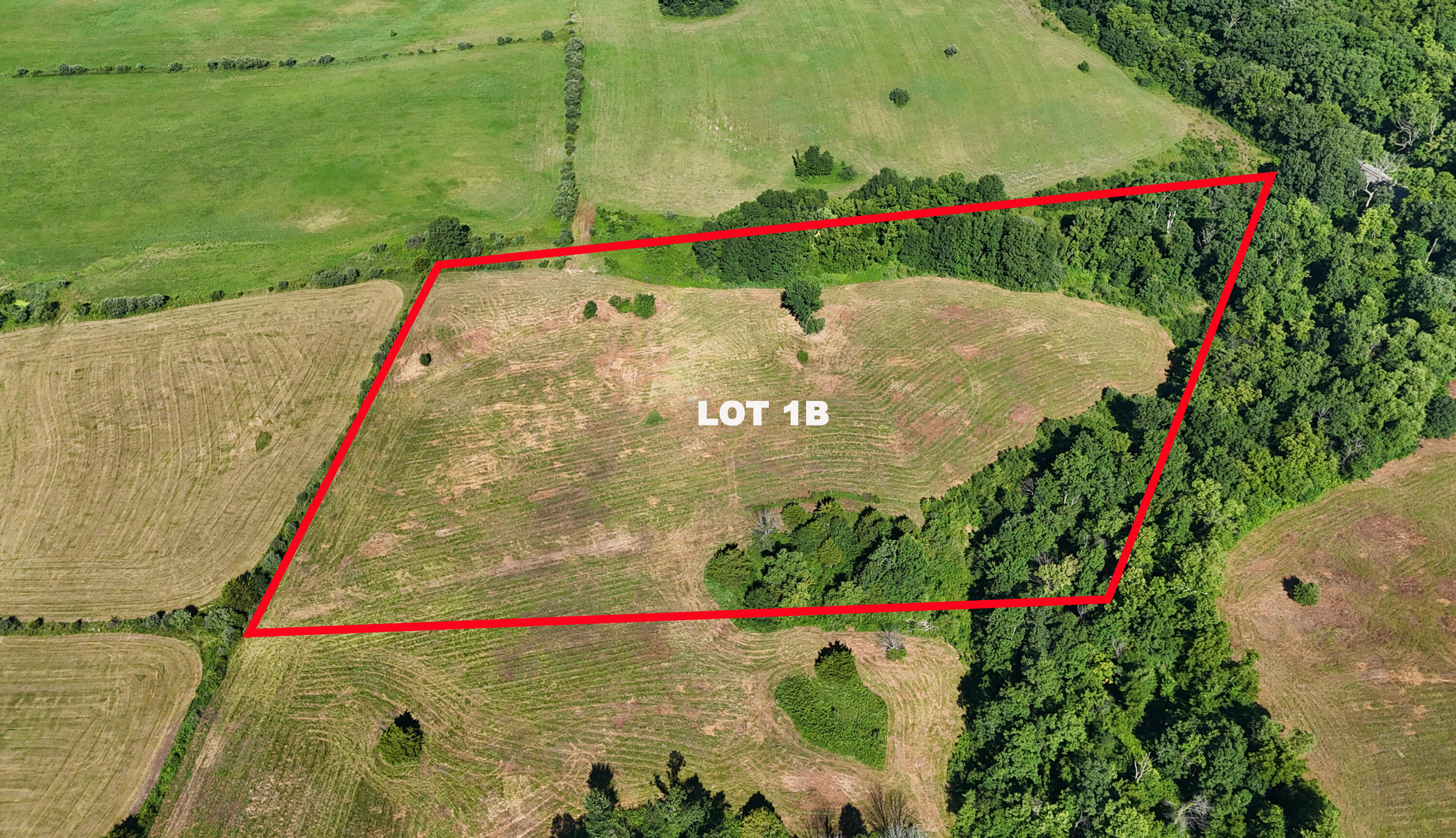 Lot 1c County Road 2580 Property Photo 1