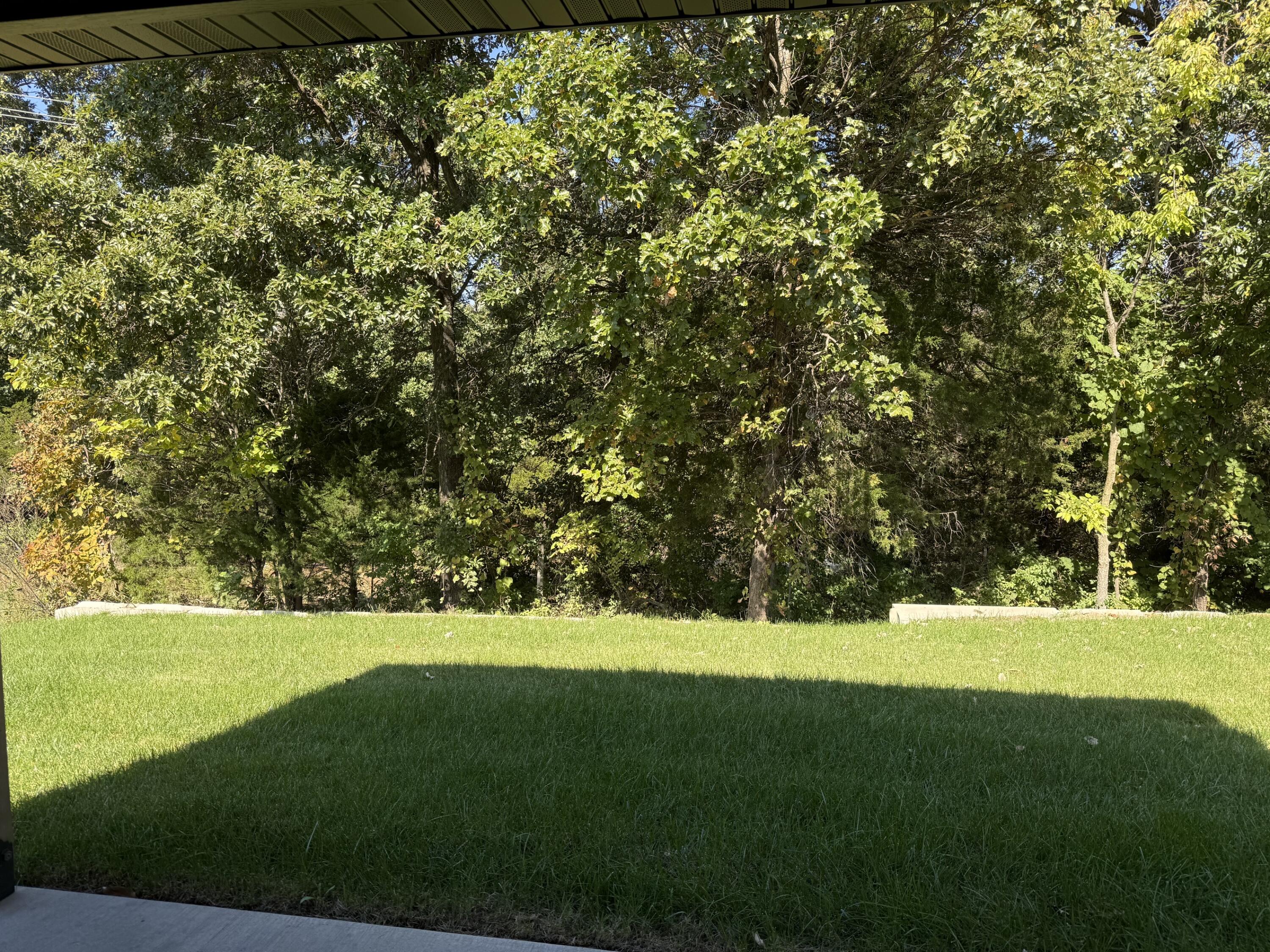 3513 Jagged Leaf Dr Property Photo 5