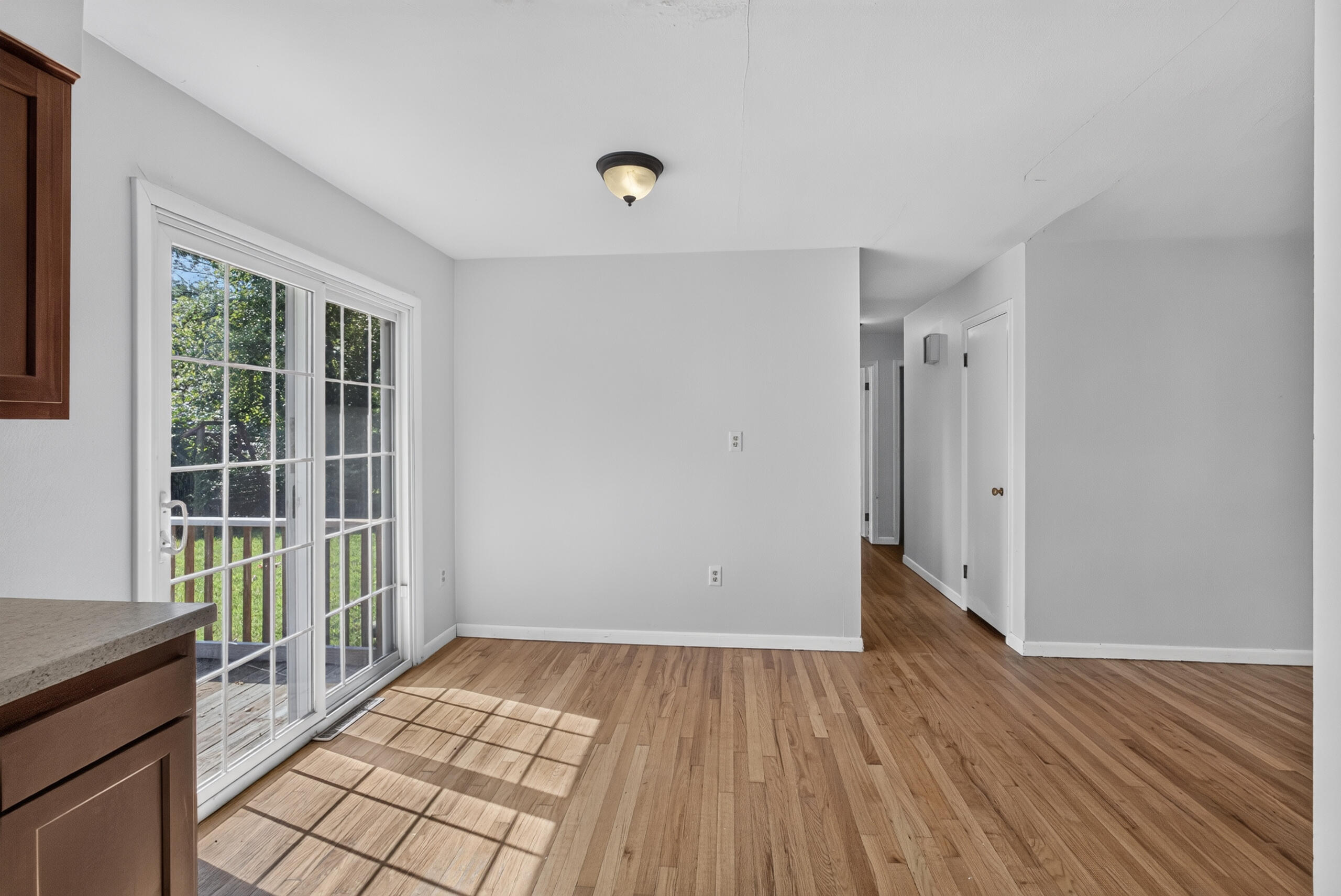 8 Dundee Dr Property Photo 7