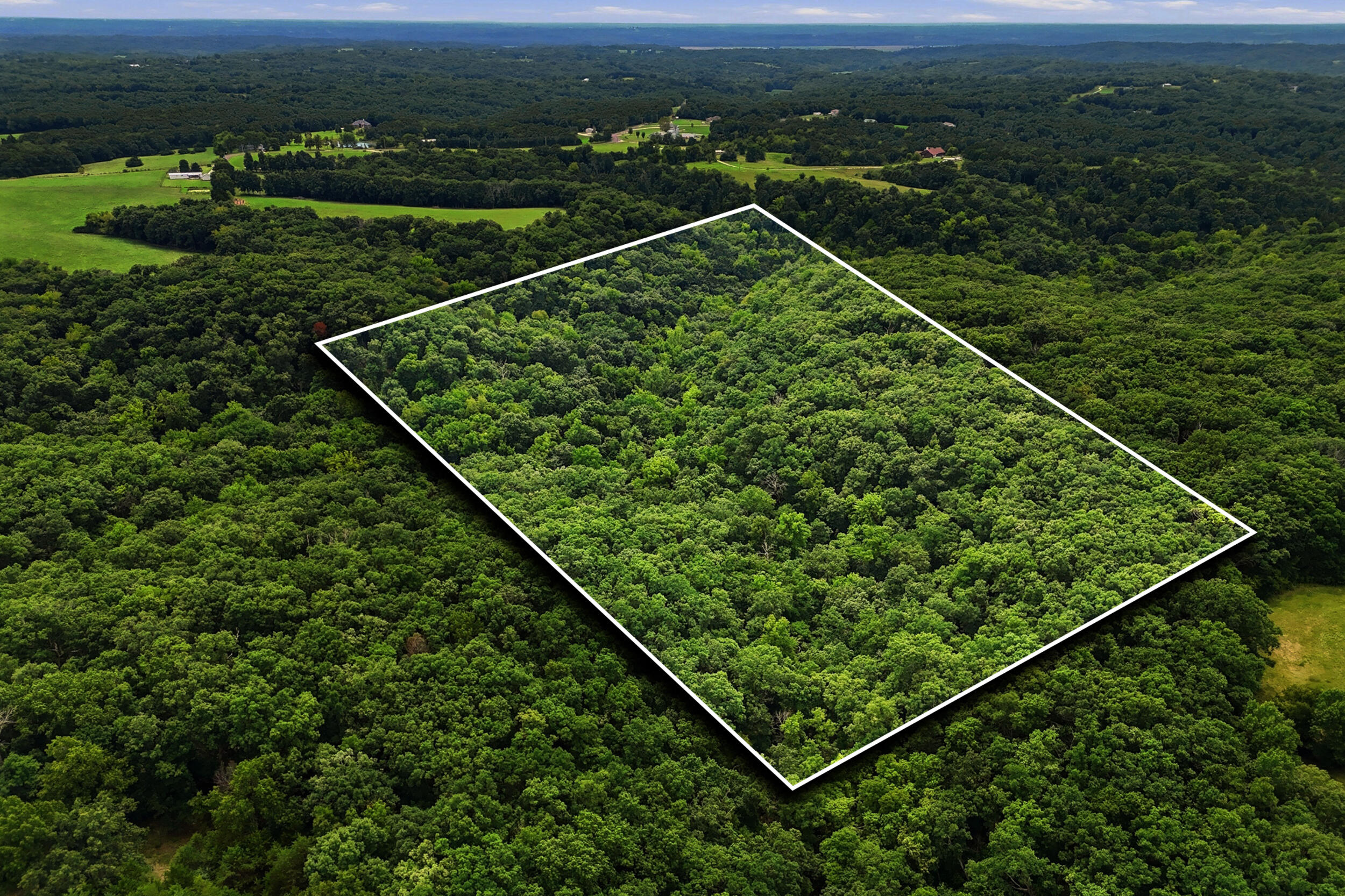 40 +/- Ac E Dee Woods Rd Property Photo 1