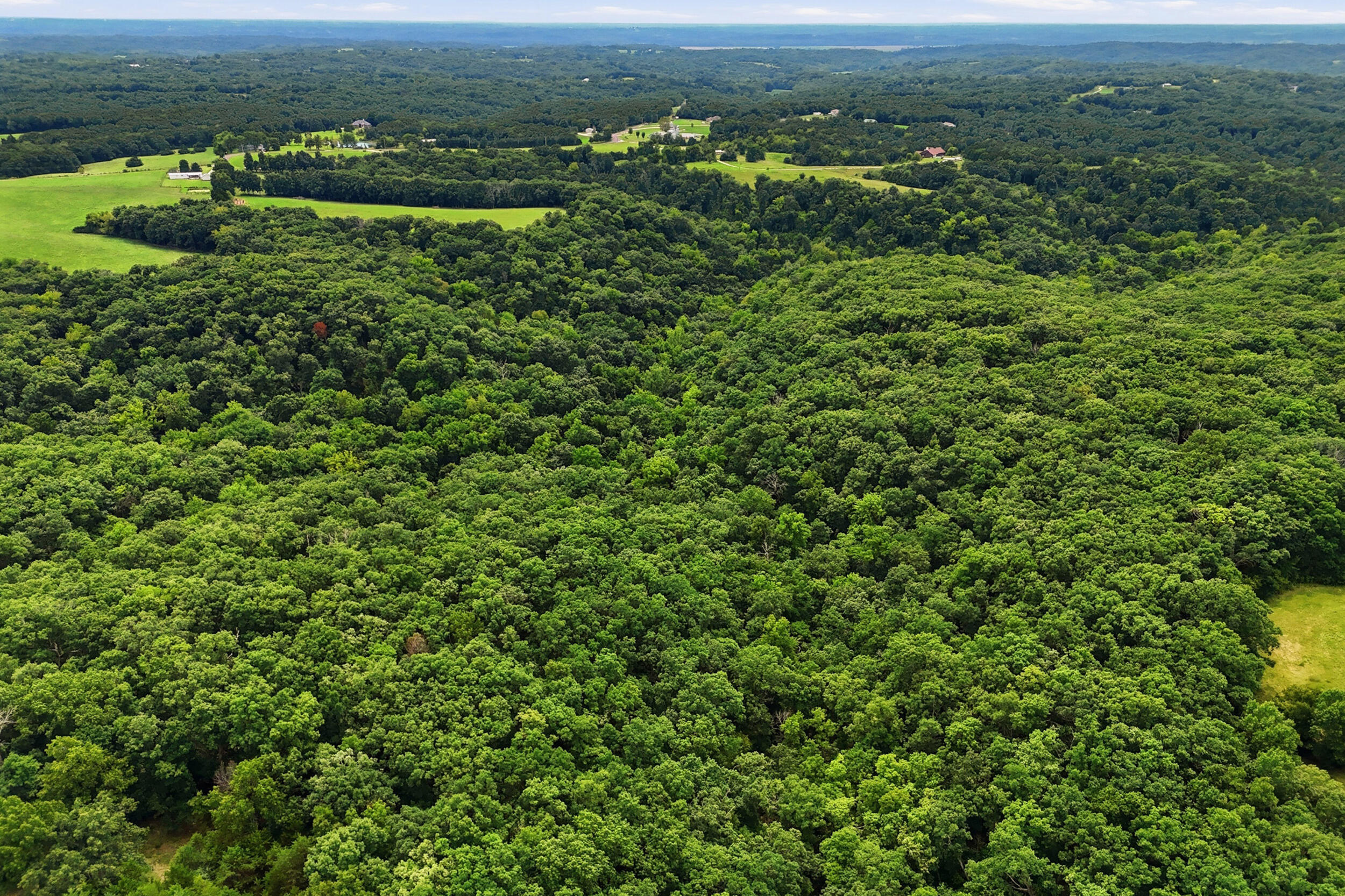 40 +/- Ac E Dee Woods Rd Property Photo 6