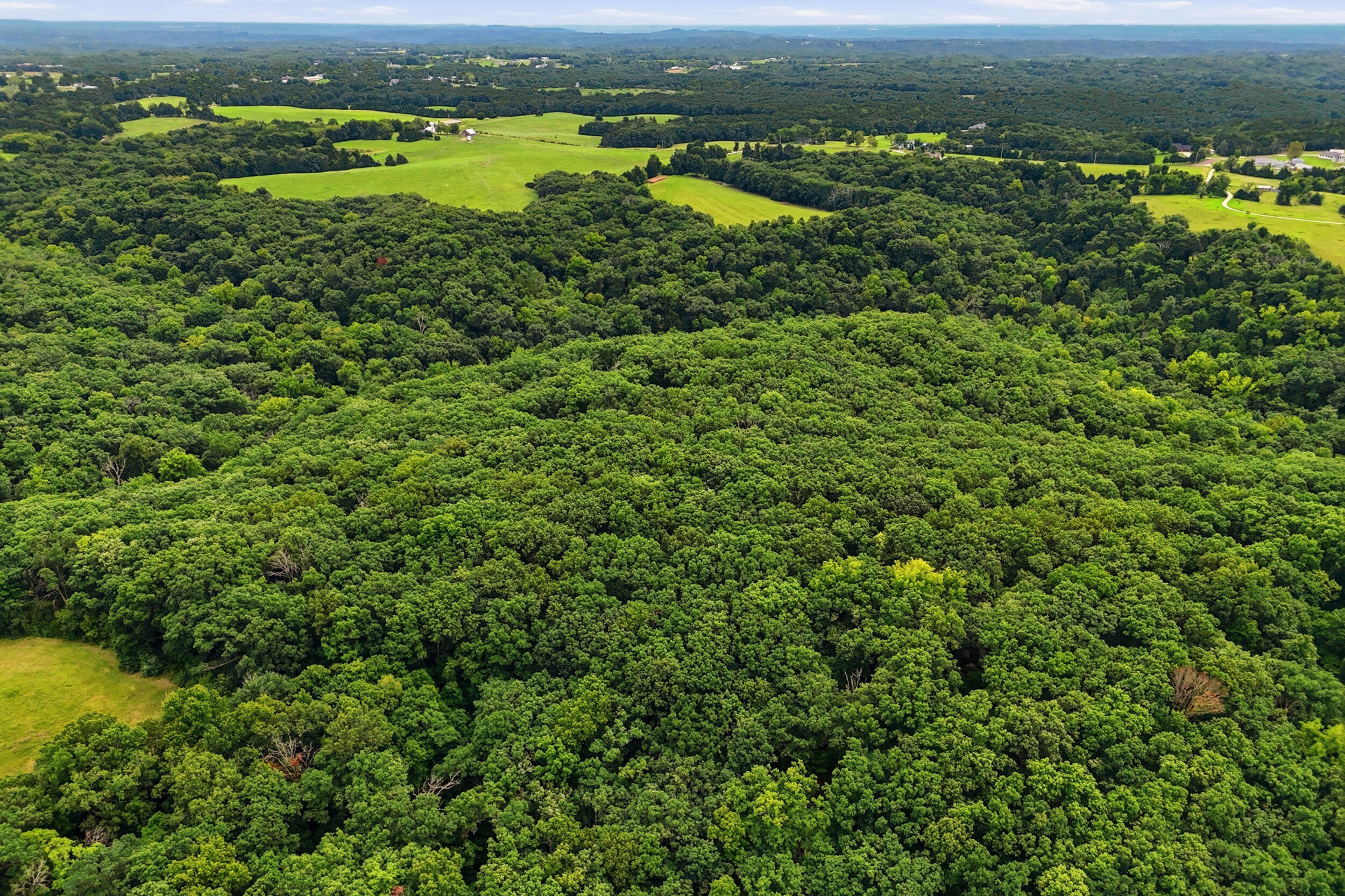 40 +/- Ac E Dee Woods Rd Property Photo 7