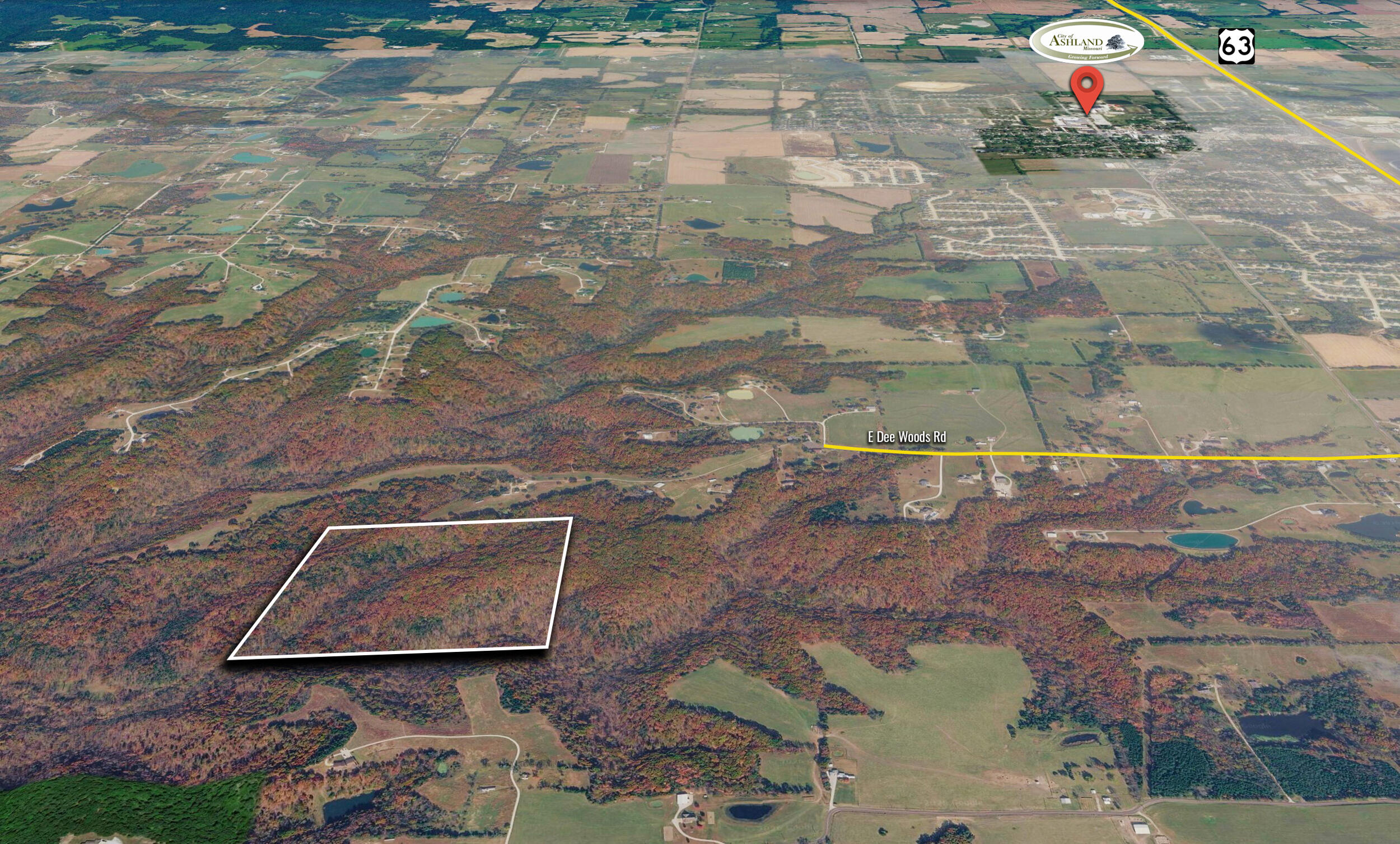 40 +/- Ac E Dee Woods Rd Property Photo 12