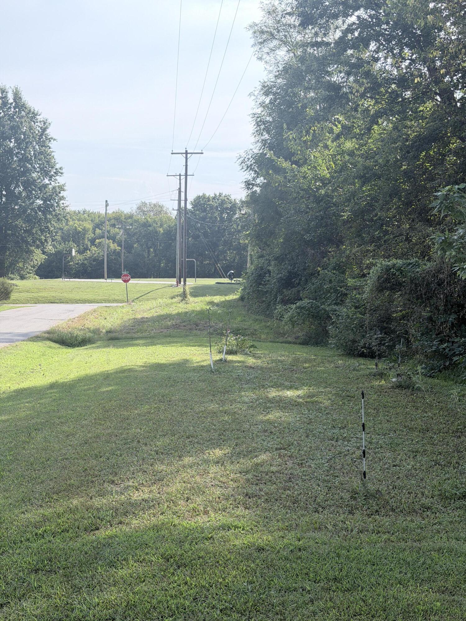 103 Silvey St Property Photo 20