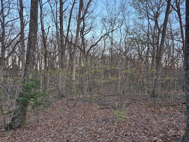 8248 State Highway Cc Property Photo 15