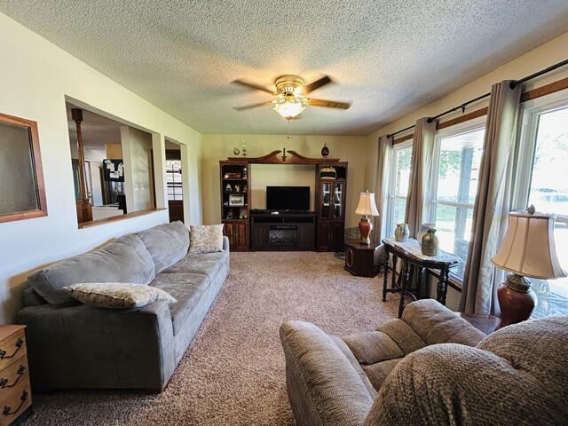 8248 State Highway Cc Property Photo 20