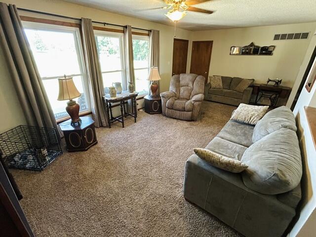 8248 State Highway Cc Property Photo 21