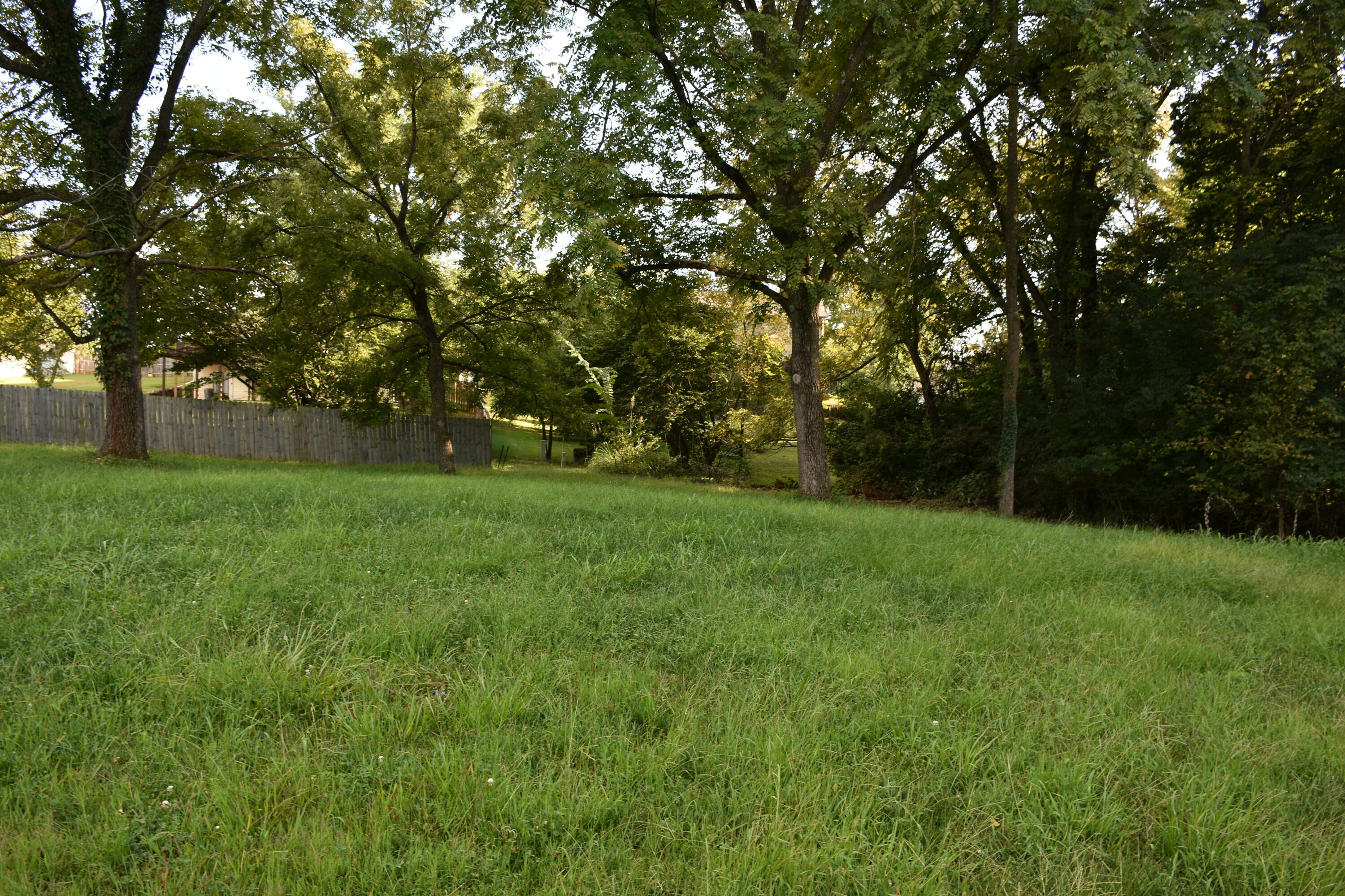 4300 Esther Lee Ct Property Photo 20