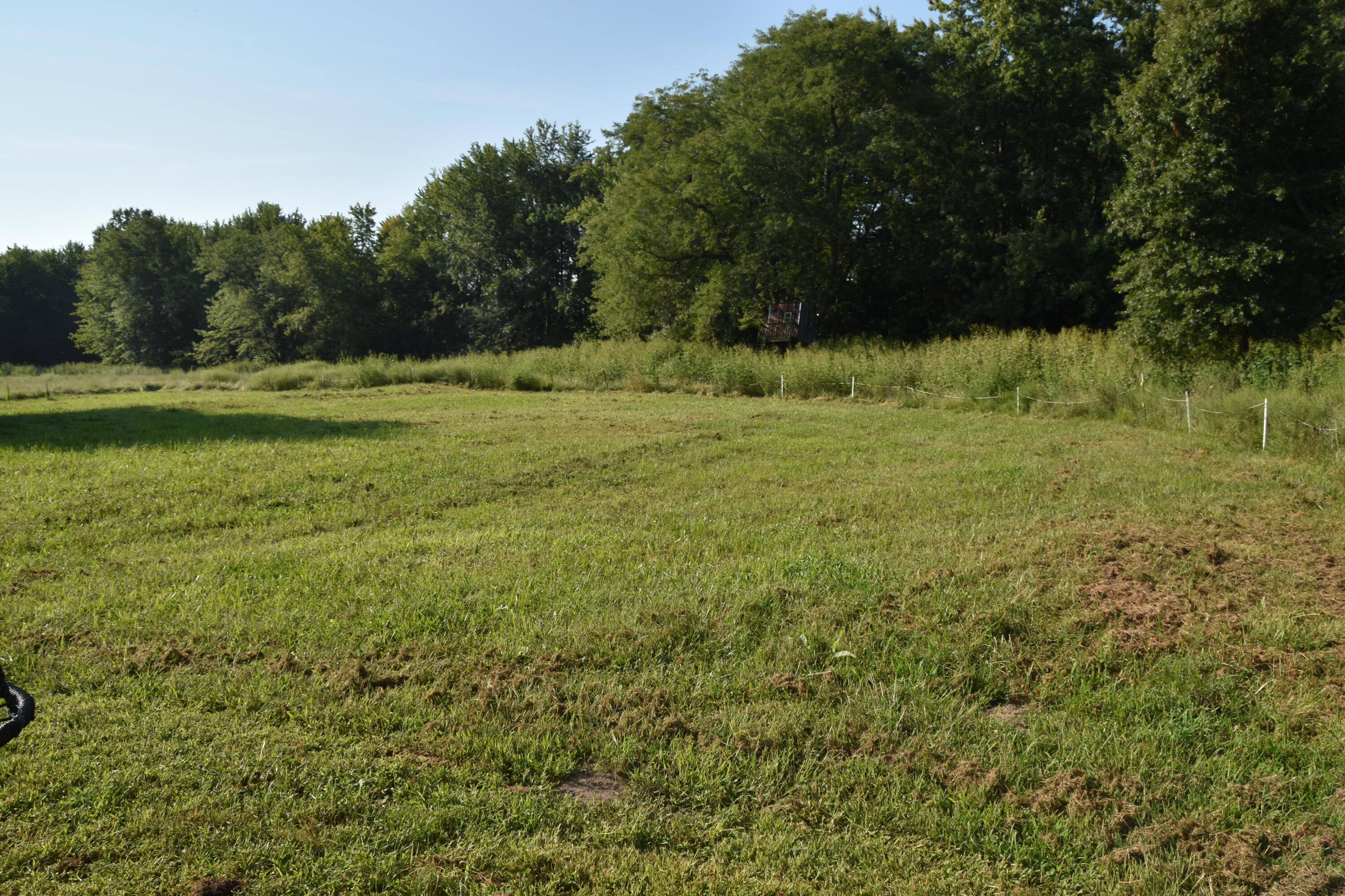 1850 E Trails End Rd Property Photo 89