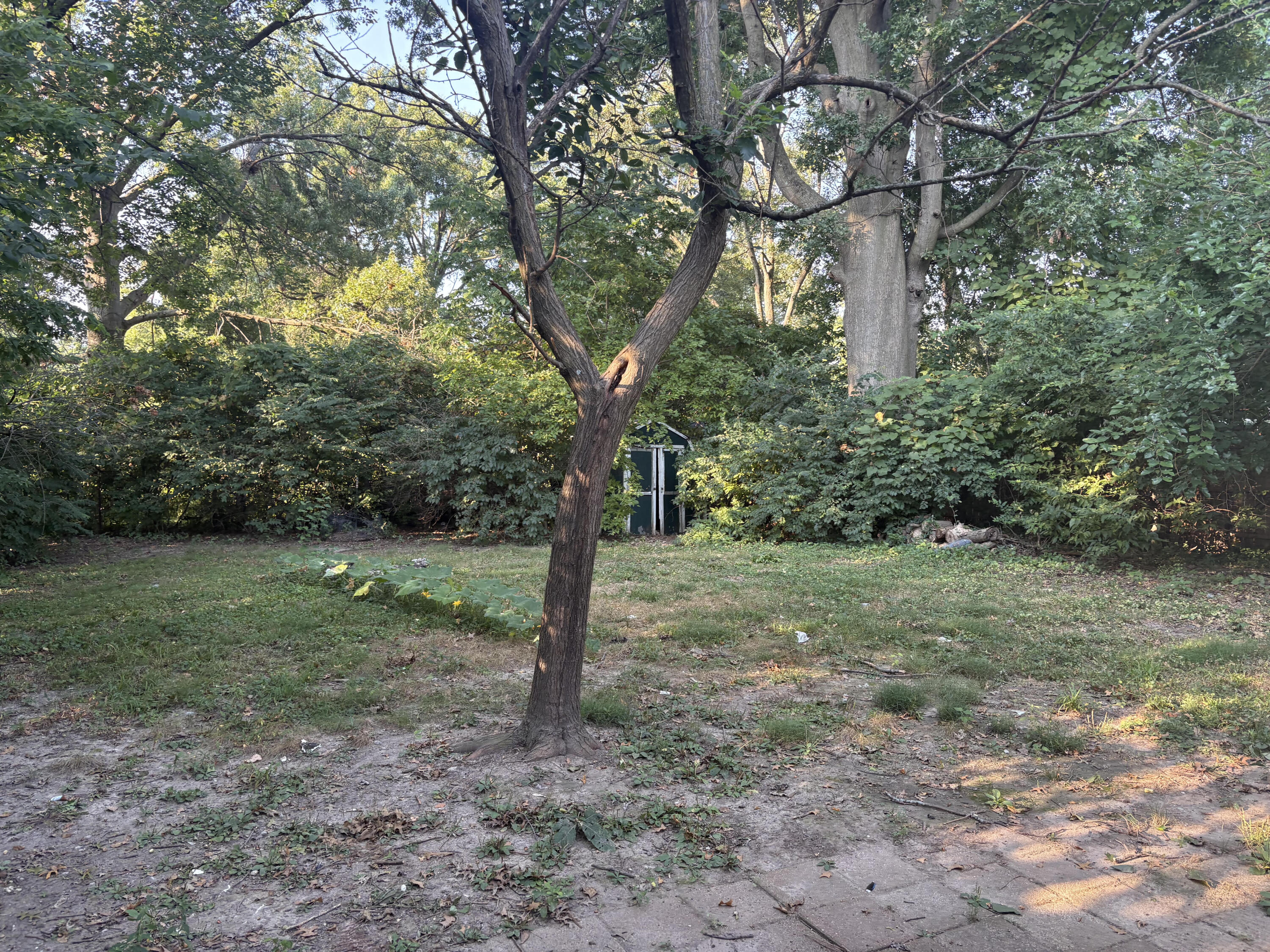 816 Mikel St Property Photo 5