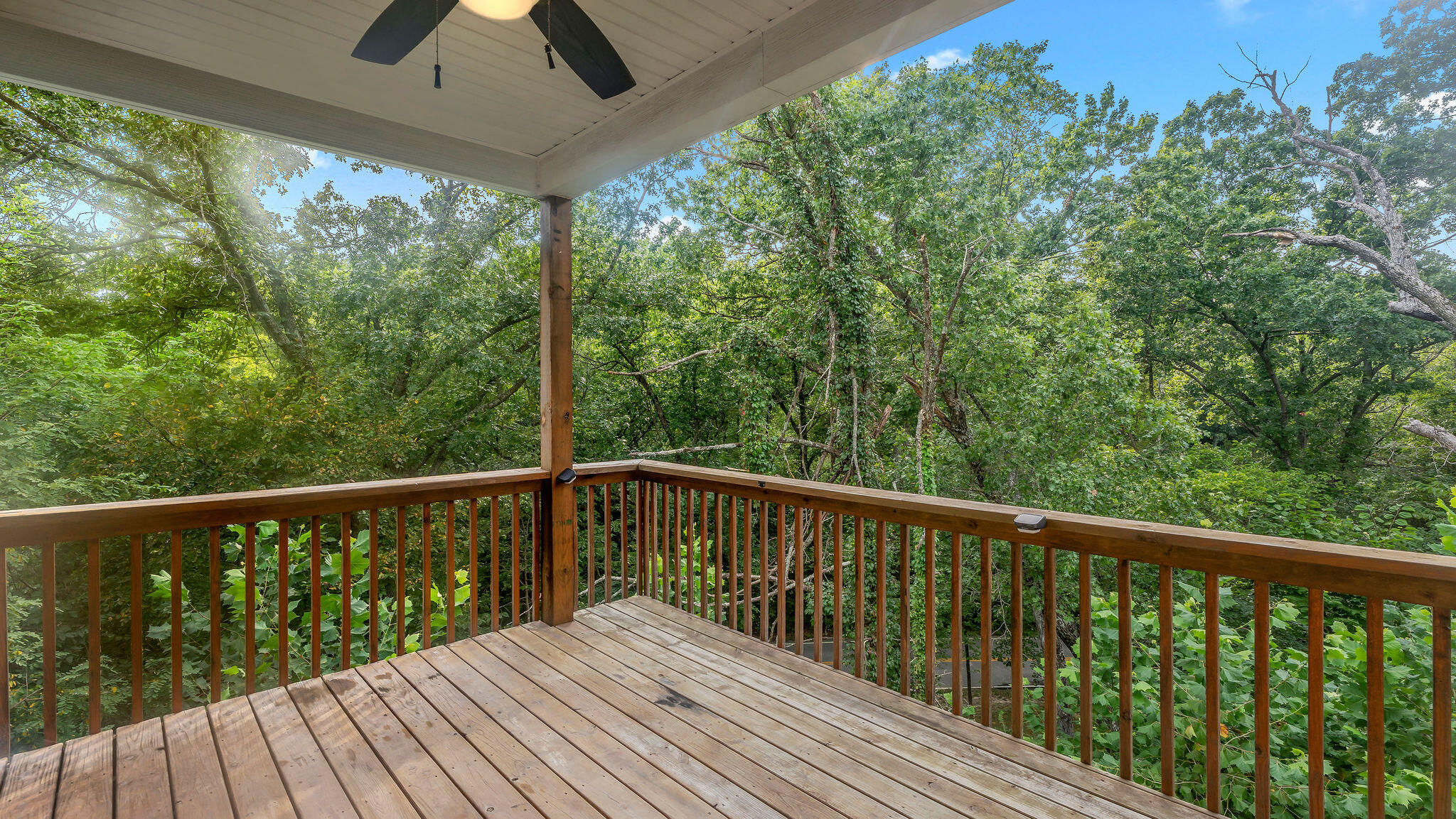 4307 Zoe Ln Property Photo 41