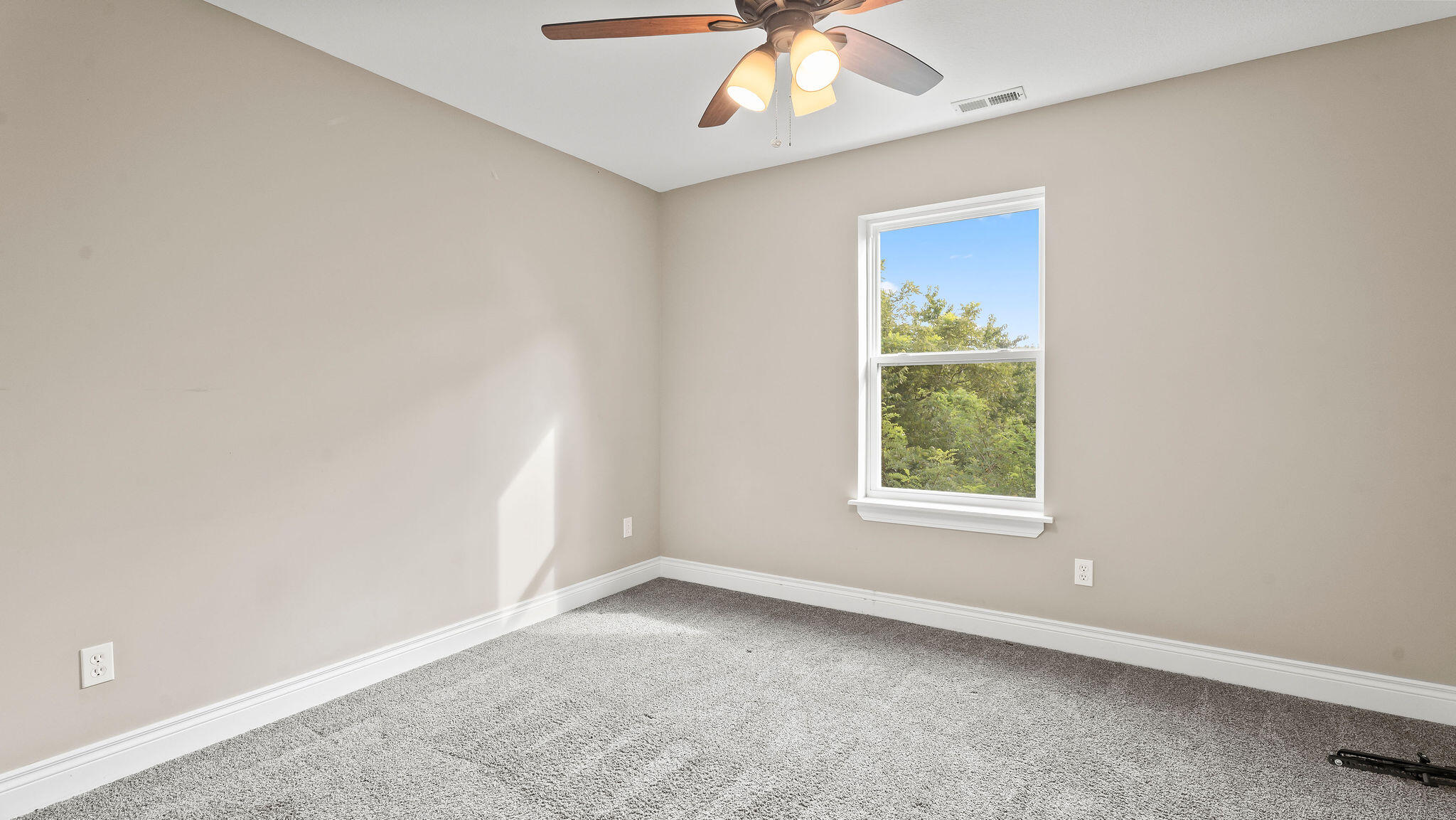 4307 Zoe Ln Property Photo 53